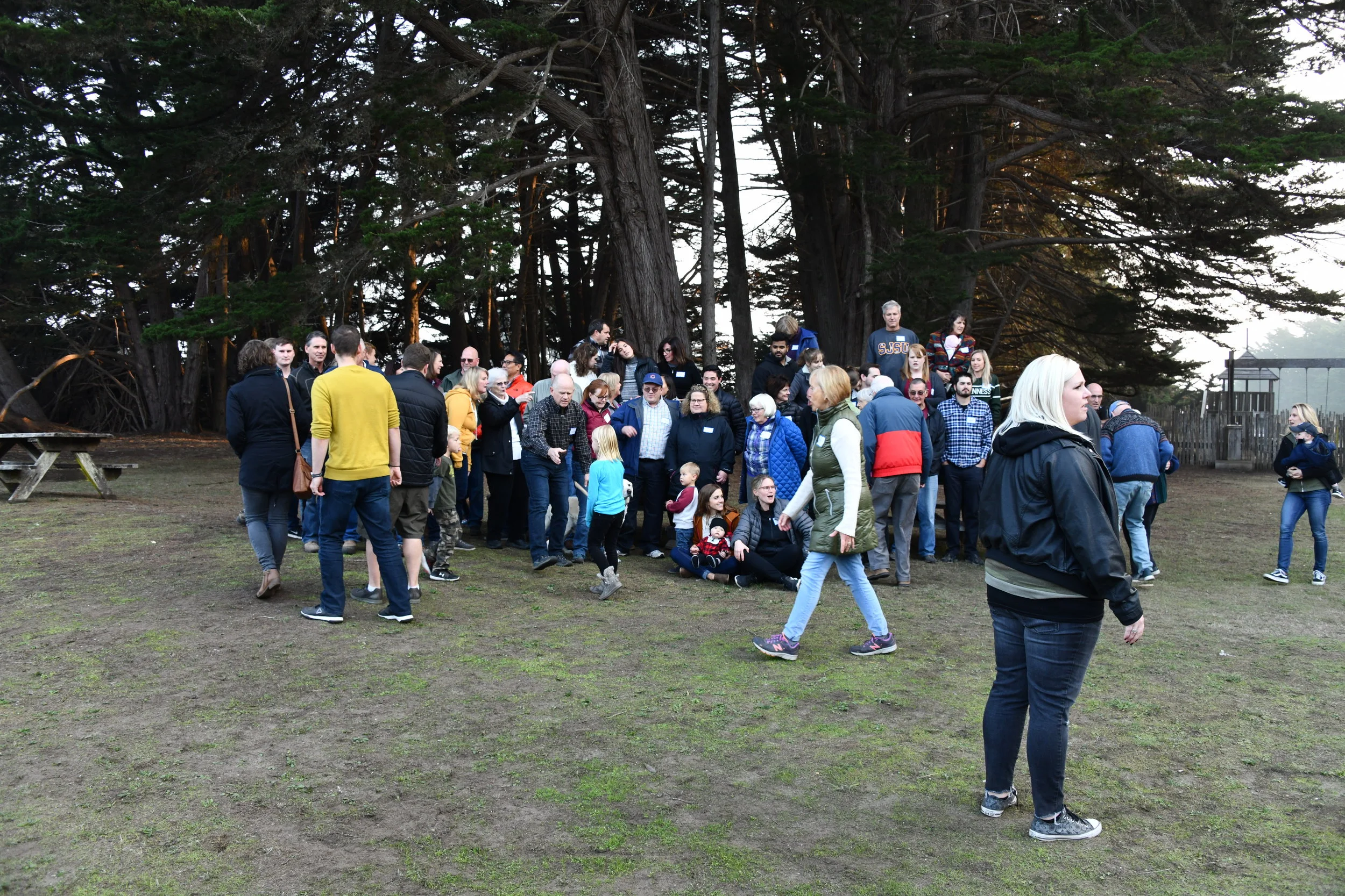 DSC_7729.JPG