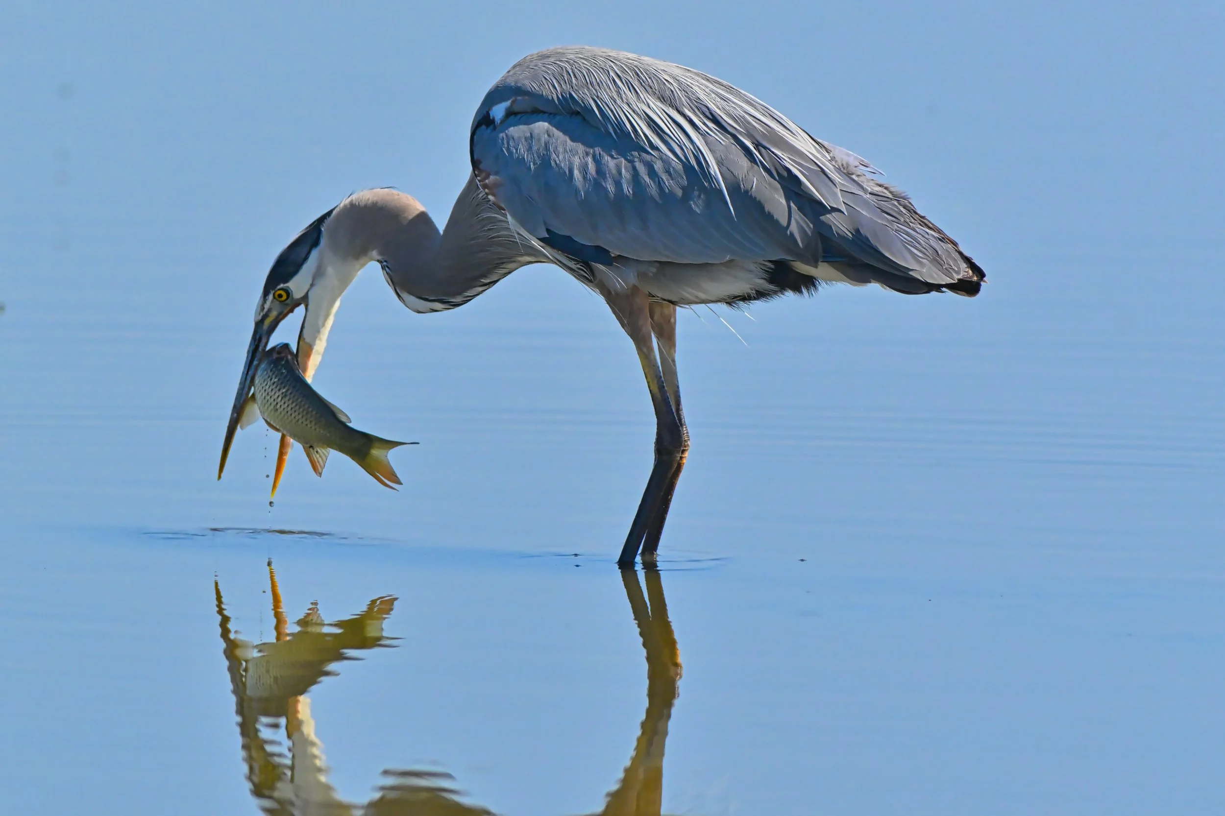 DSC_3005a.jpg