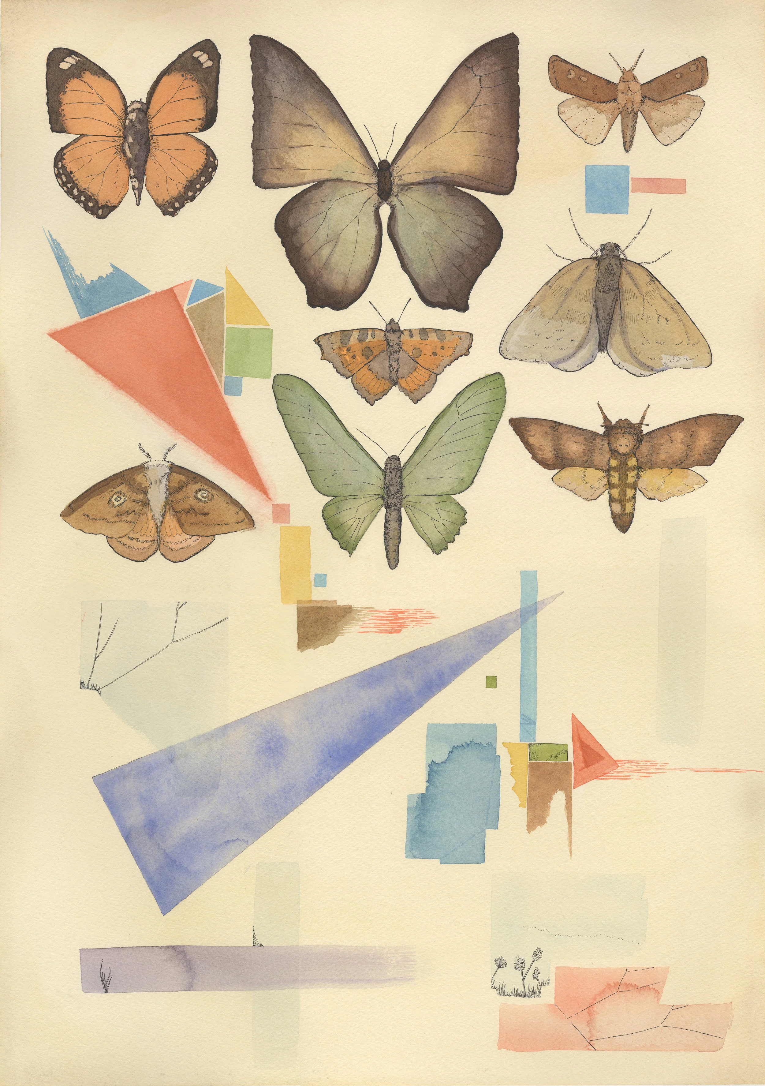  -Annual Provost Purchase Award piece  -University Art Museum juried work 