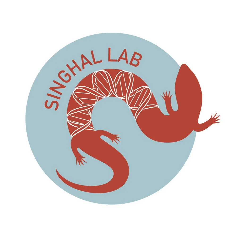 SL+Logo+4.jpg