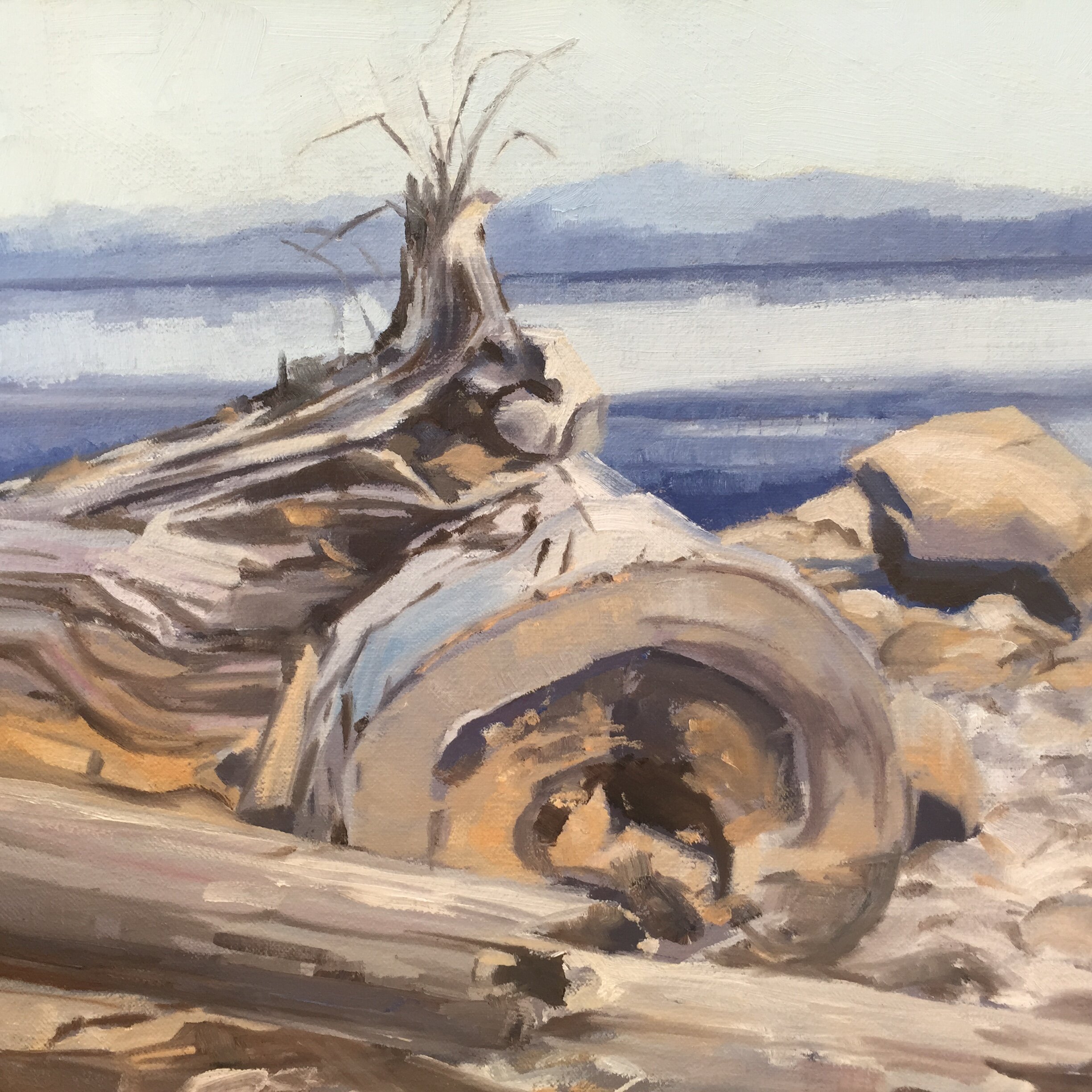 Painting of Driftwood.JPG