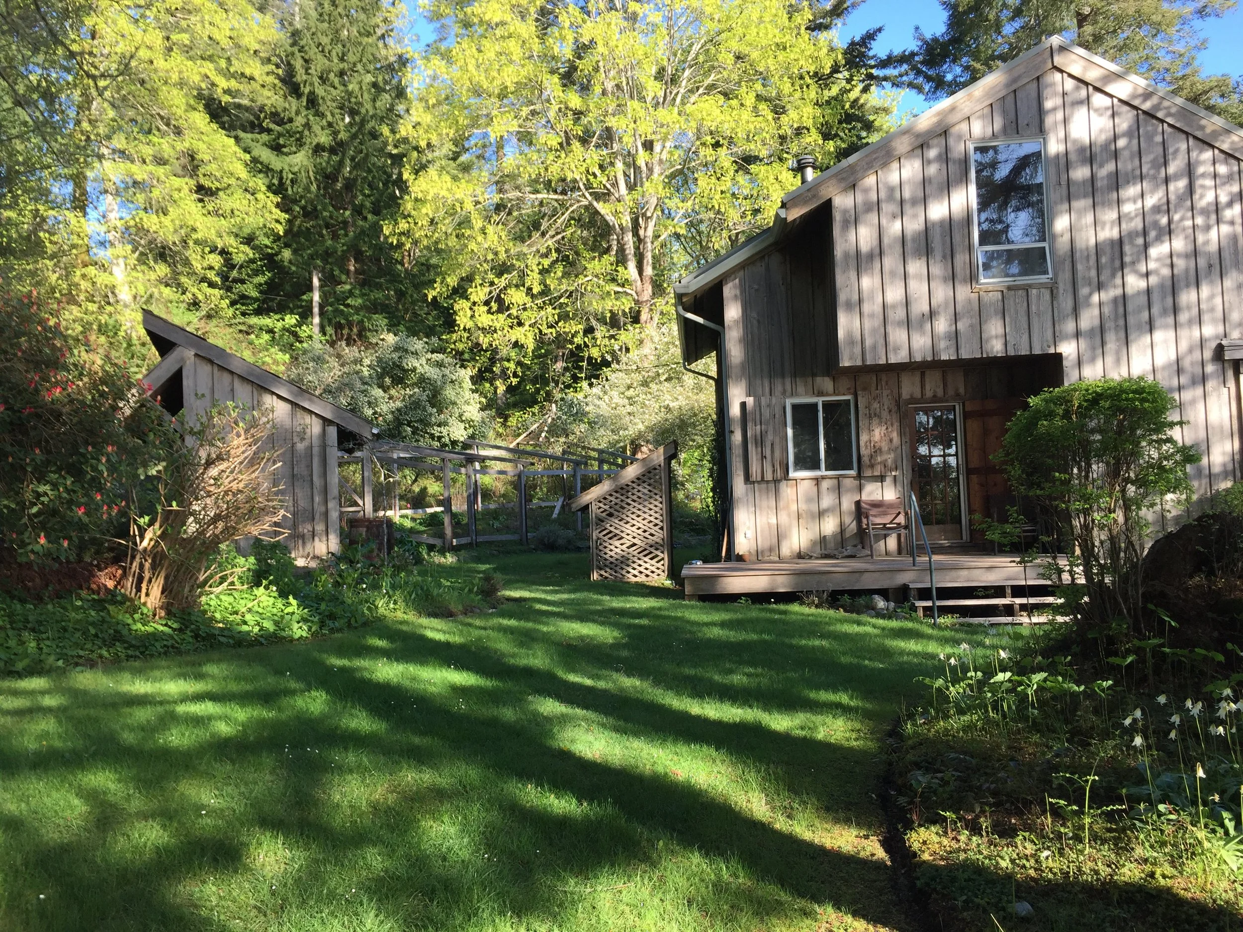 MG, Cottage, with Maple.JPG