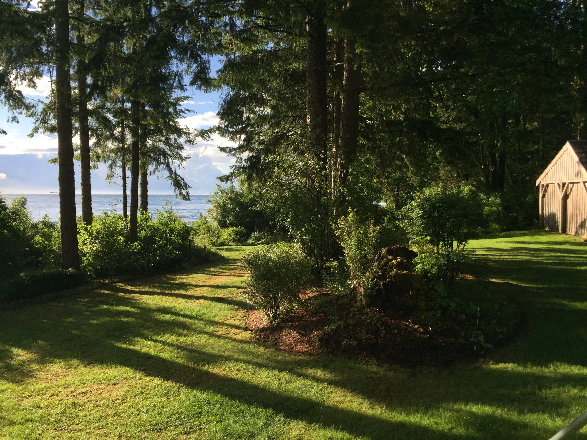 MG, Morning light in May.JPG