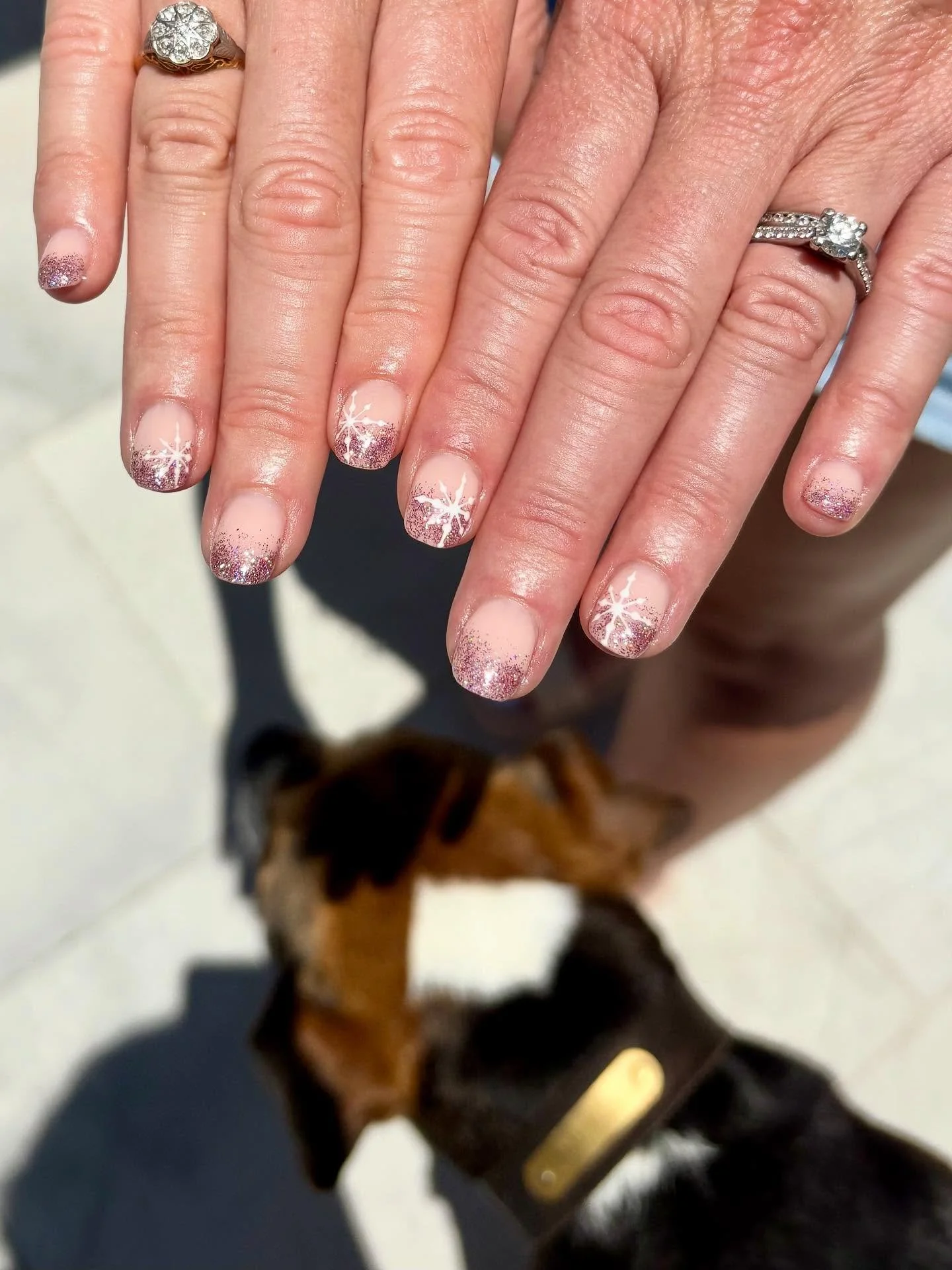 Photo dump - Christmas edition ❤️💚

#nailart #instanails #gelnails #buildergel #stheliers #aucklandnails #instagood #nailsnz #nailtech #biab #christmasnails