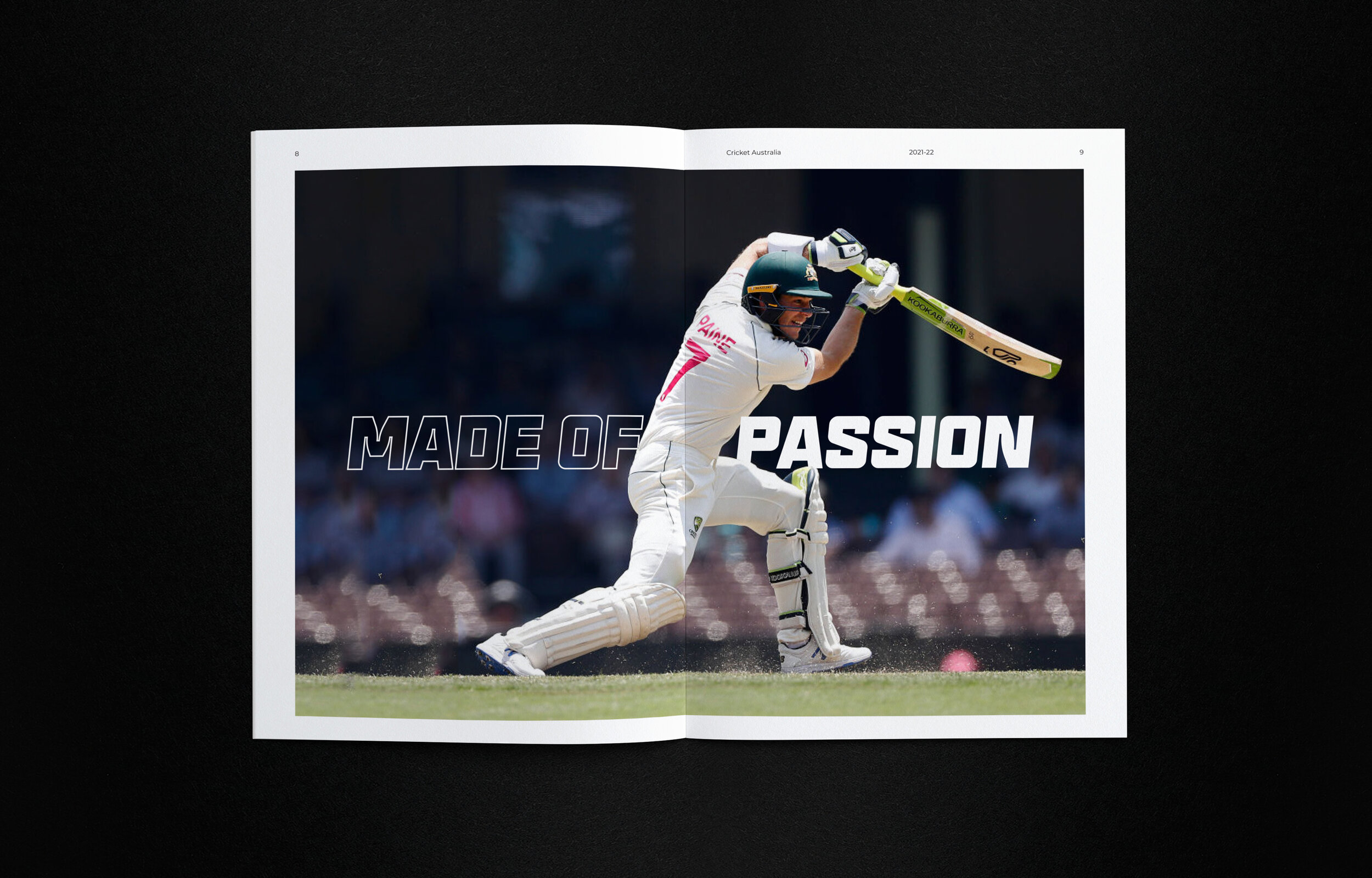 Cricket_CaseStudy_1.219.jpg