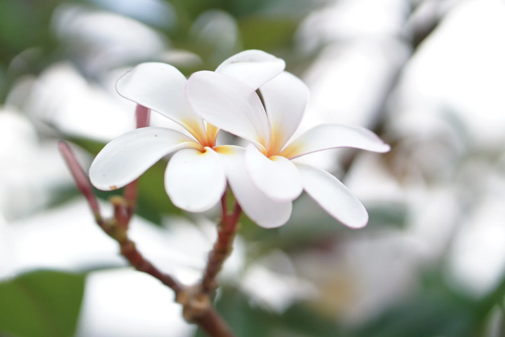 Take Your Broken Heart, Make It Into Art