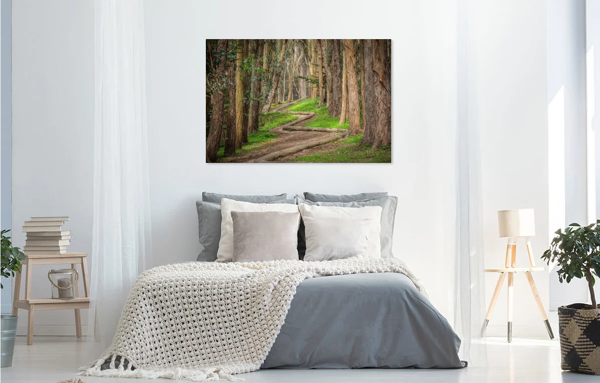trees1.jpg