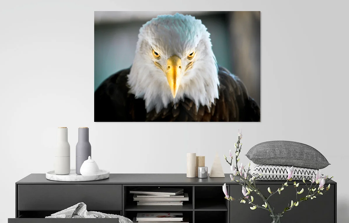 Eagle3.jpg