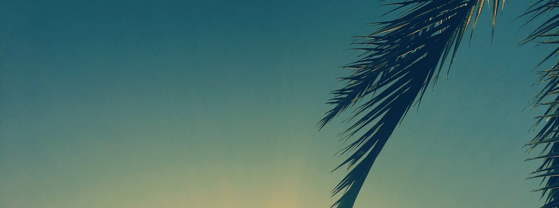 header_juin.jpg