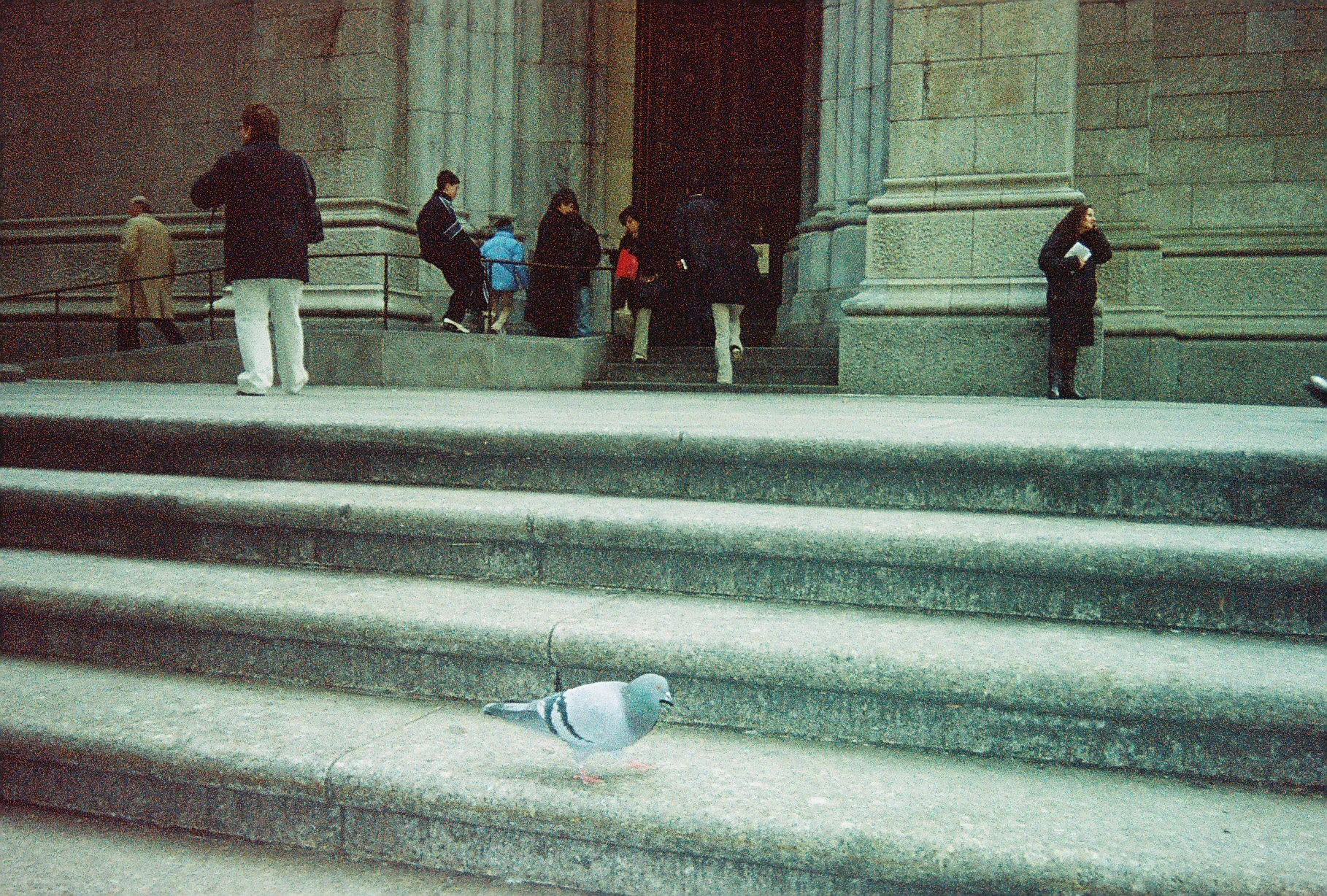 7553650-R2-E037.jpg