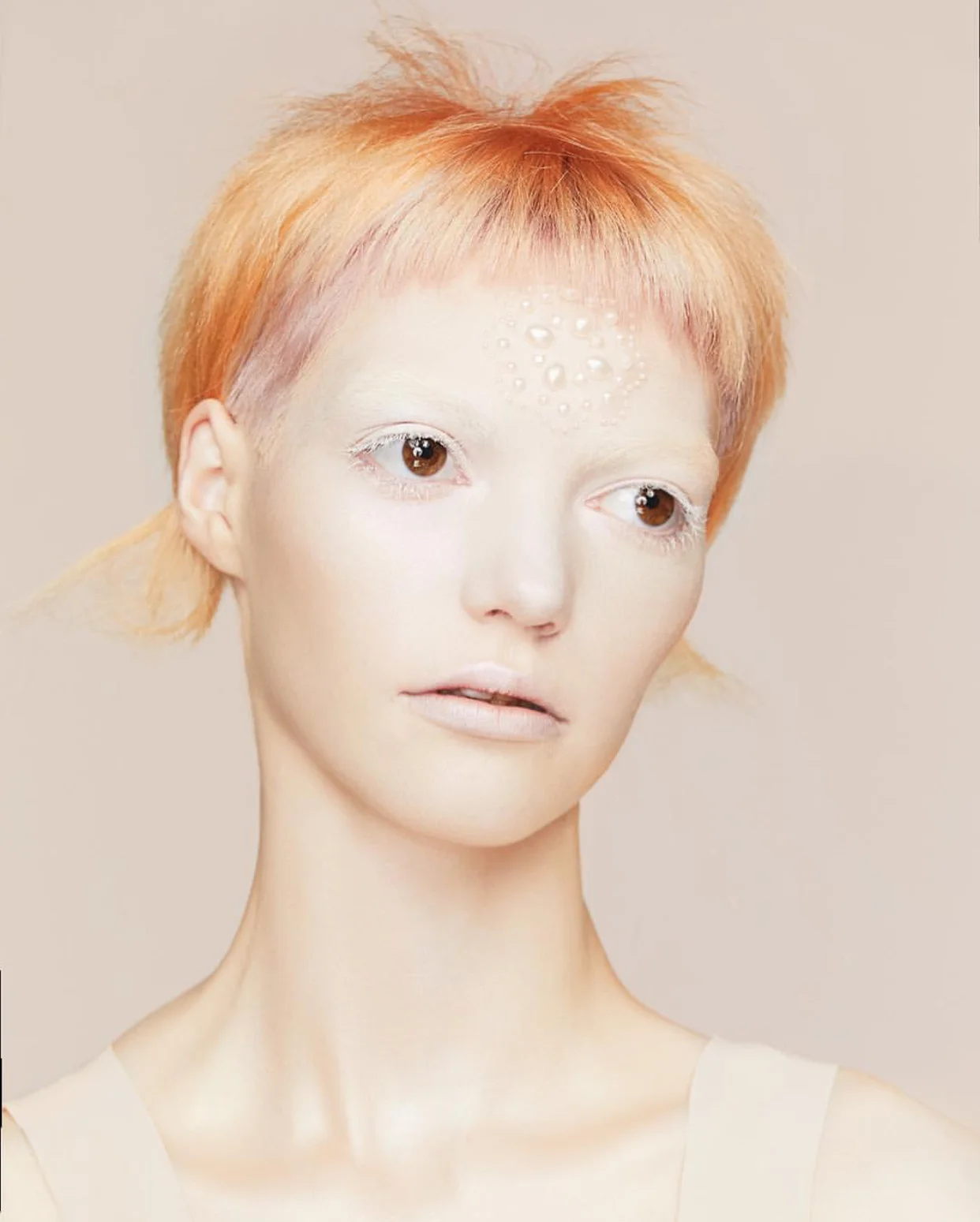  Shot by Caroline Knopf  For Van Michael Salon 