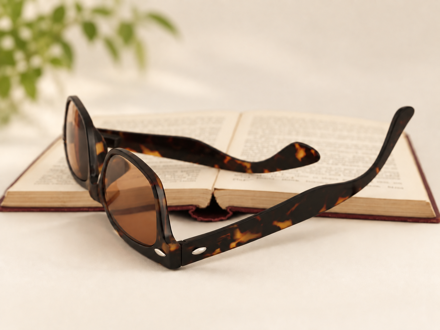 Woody Sun tortoiseshell reading sunglasses with brown lenses resting beside an open book