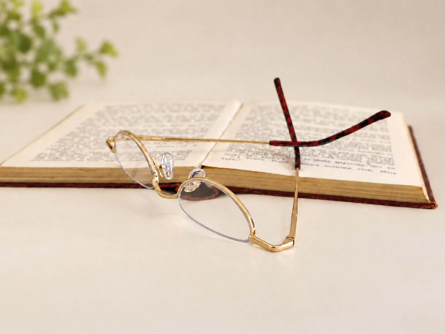 B-DCHR gold half-eye reading glasses resting on an open book