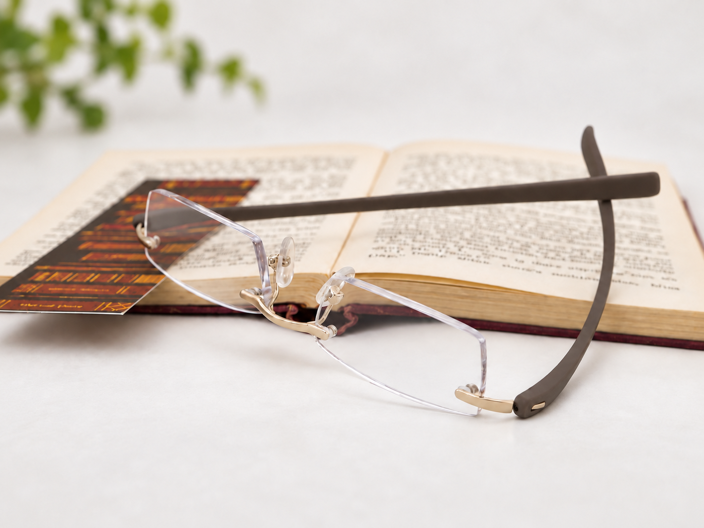 Peek light gold rimless reading glasses in front of an open book