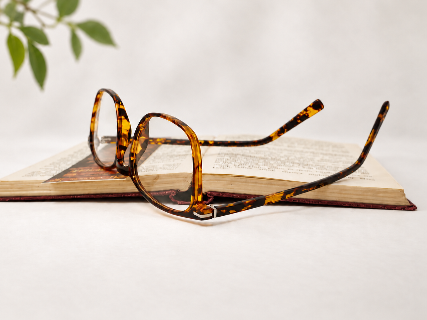 B-AC9D tortoiseshell reading glasses resting on an open book