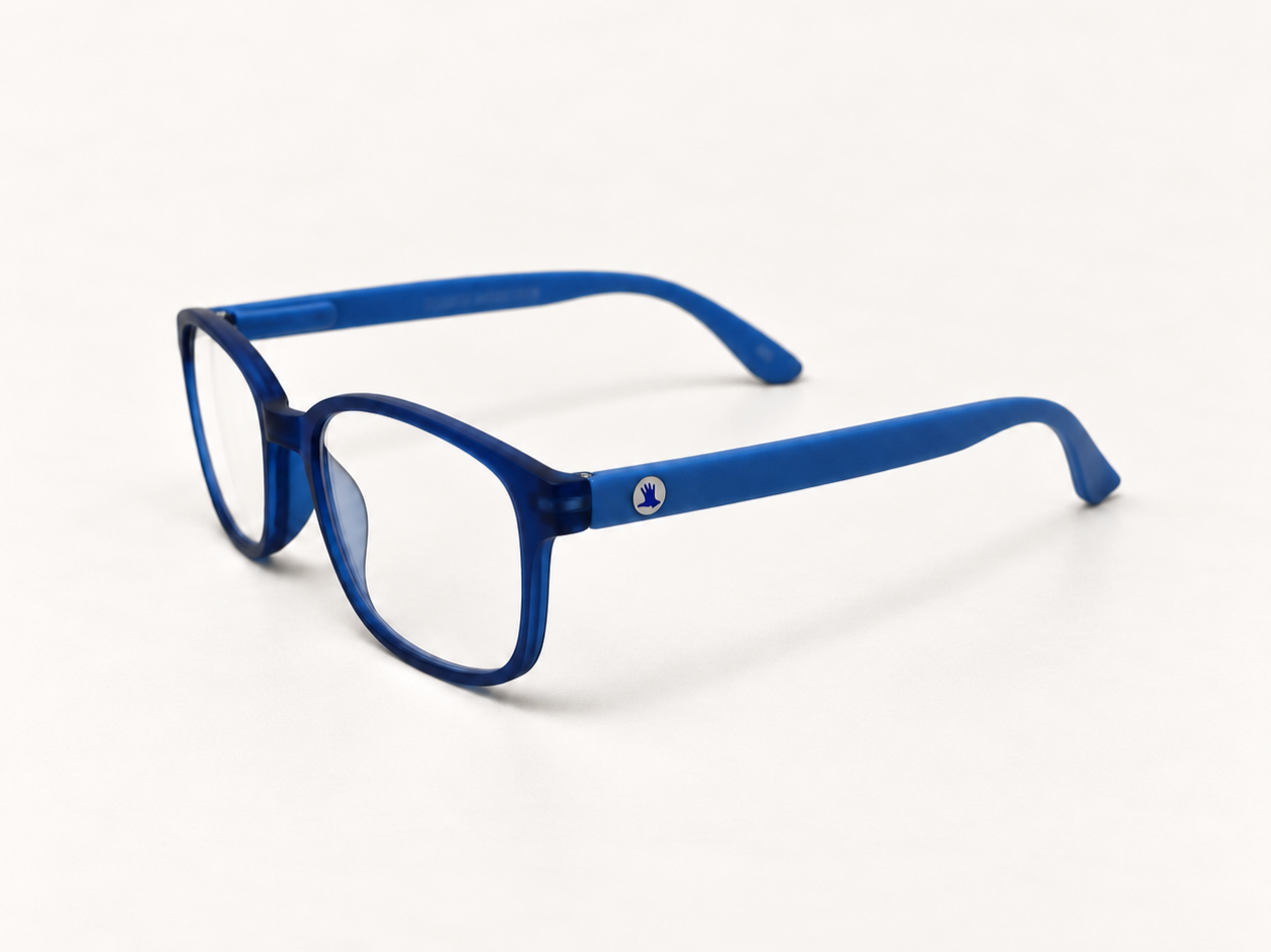 Rainbow Blue Reading Glasses