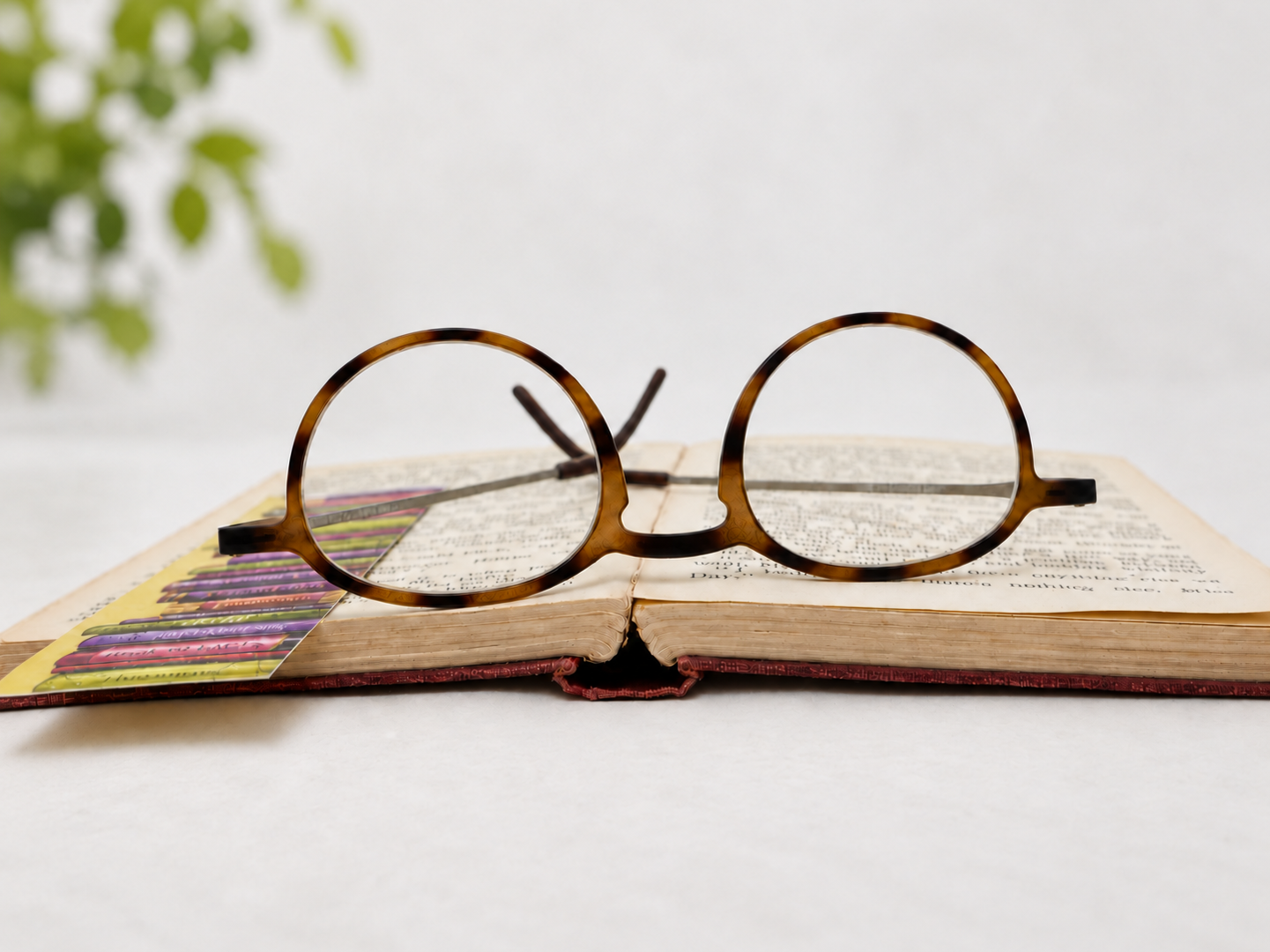 panto-g10600-havana-reading-glasses-book.png