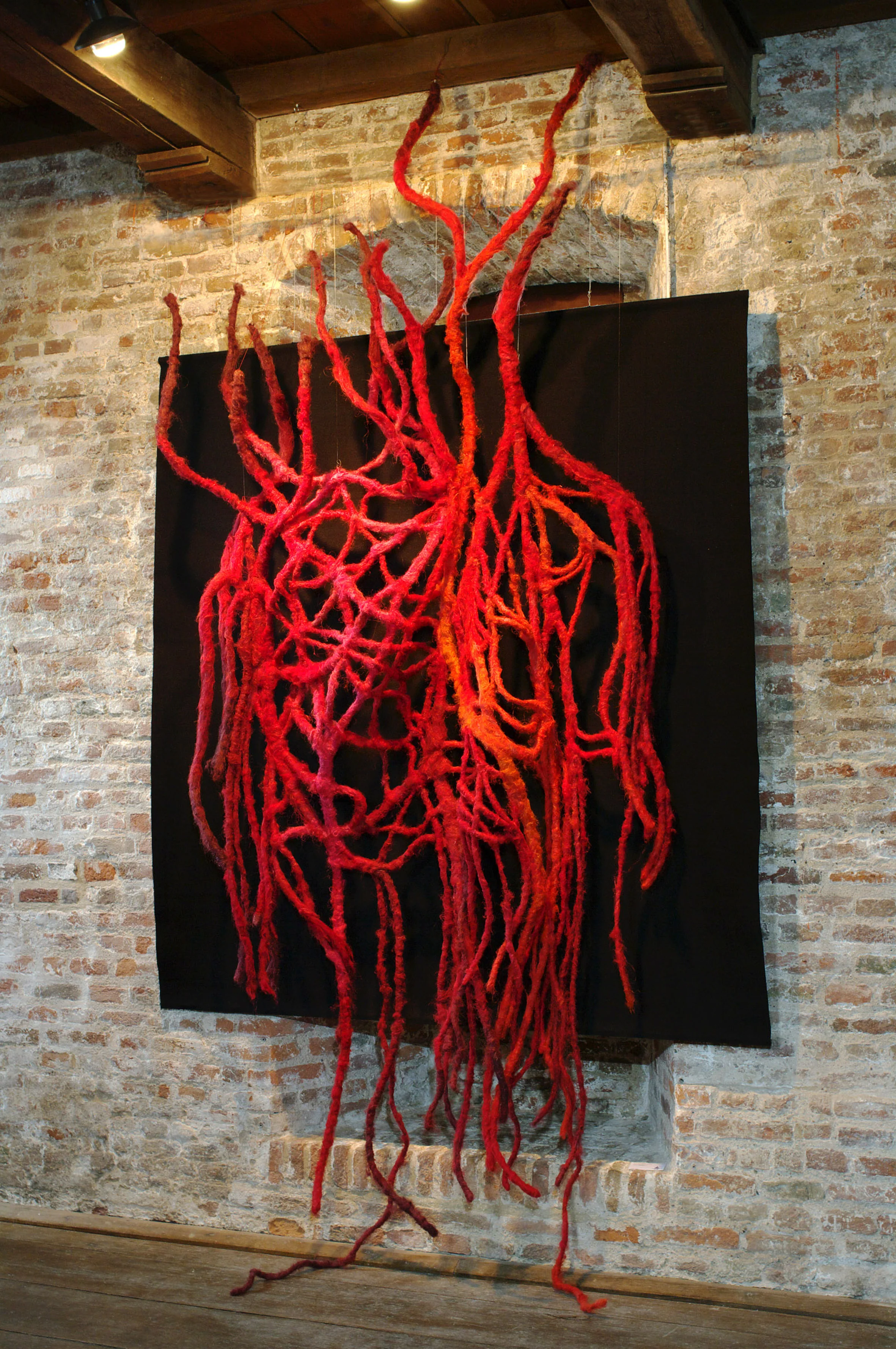 Roots