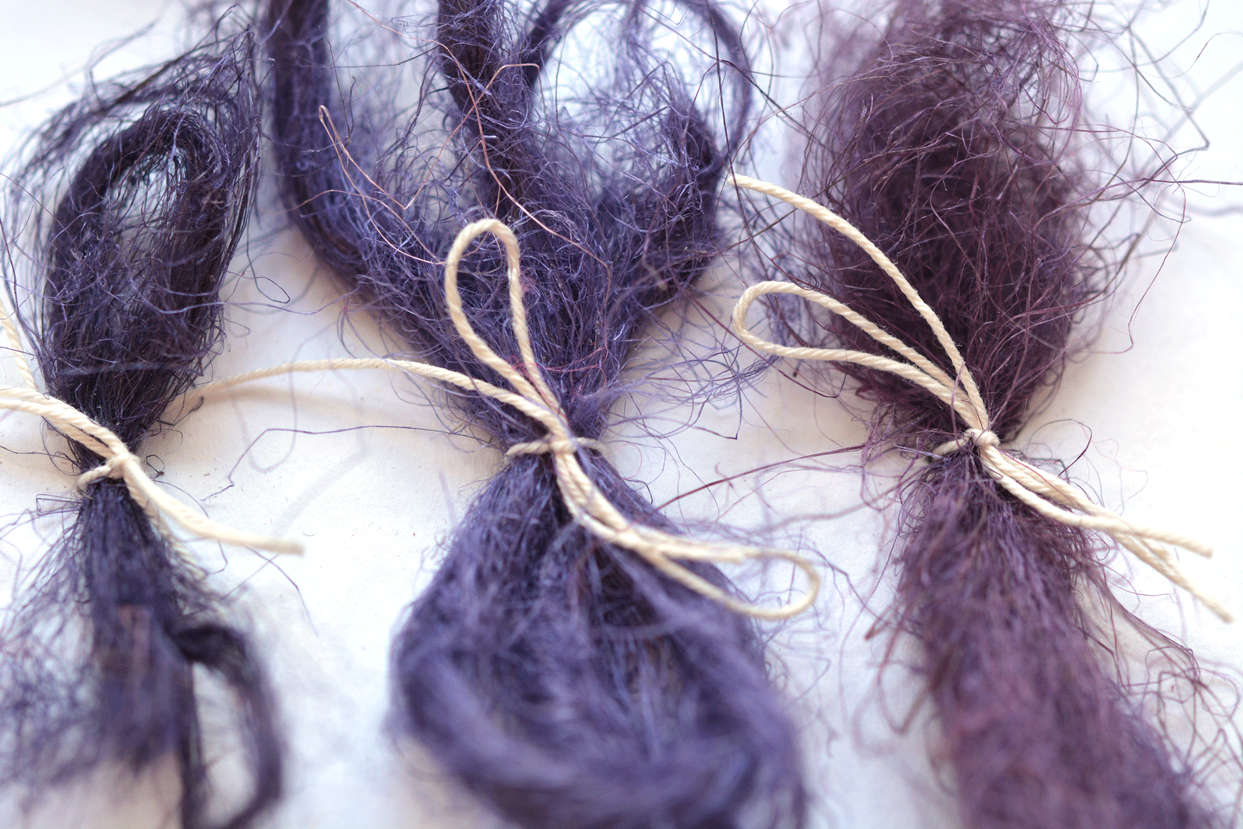 M.Loster_colourswatch_27.gif