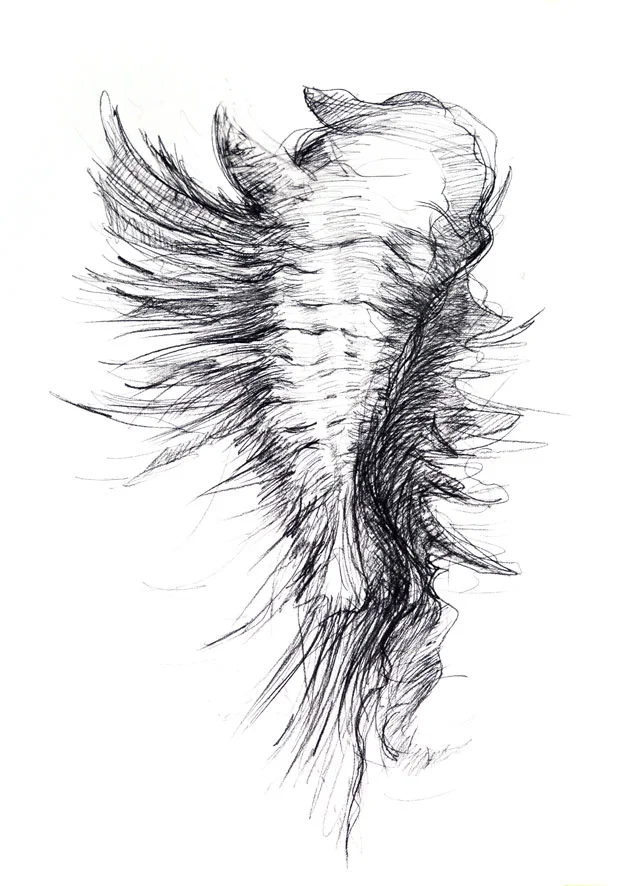 "Extroshell" 100x70cm, choarcoal on paper