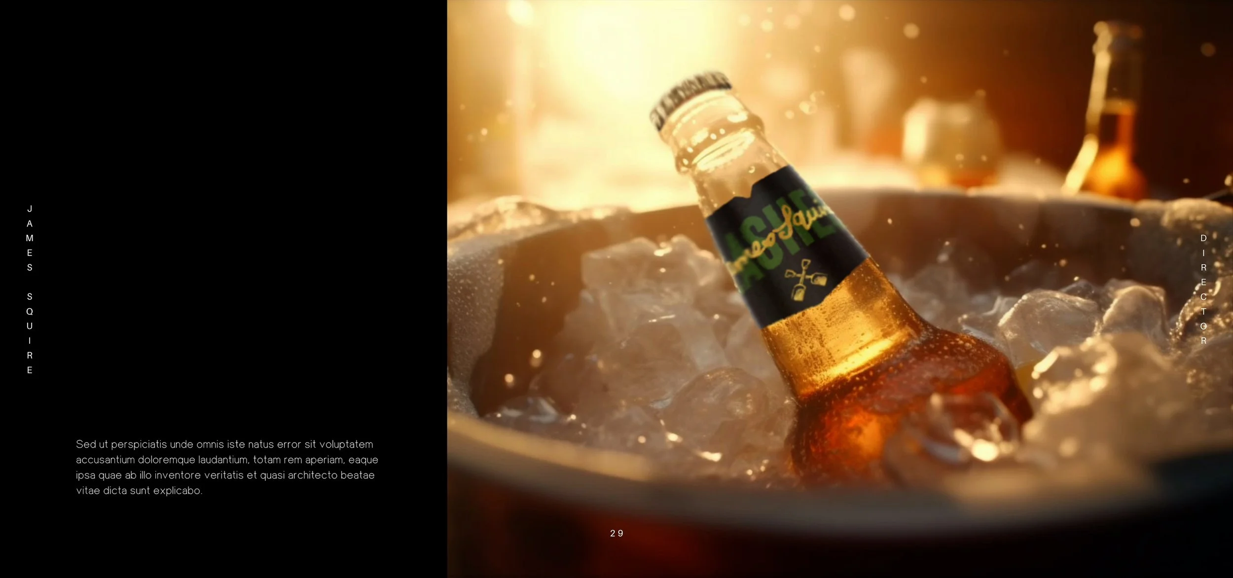James Squire-visual-research-advertising-campaign-australia.jpg