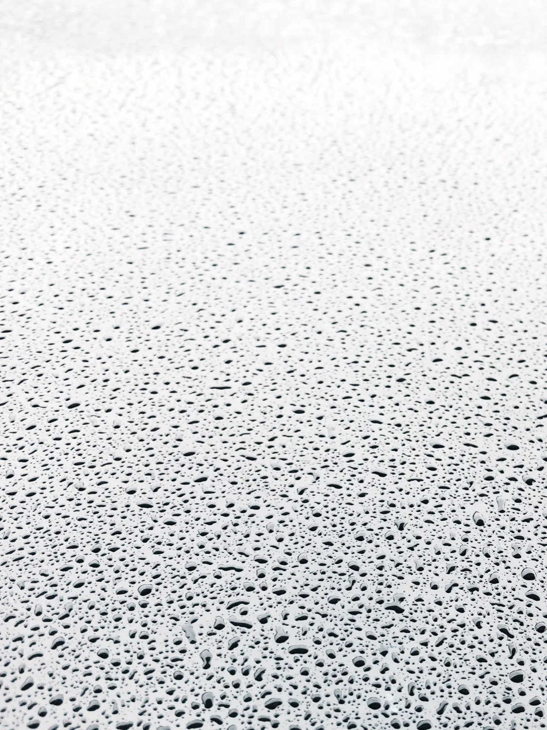 APC_2482-1500px.jpg