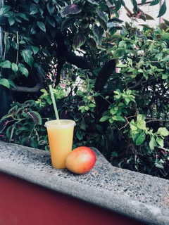 fulton_market_consulting_puerto_vallarta_farmers_market.jpeg