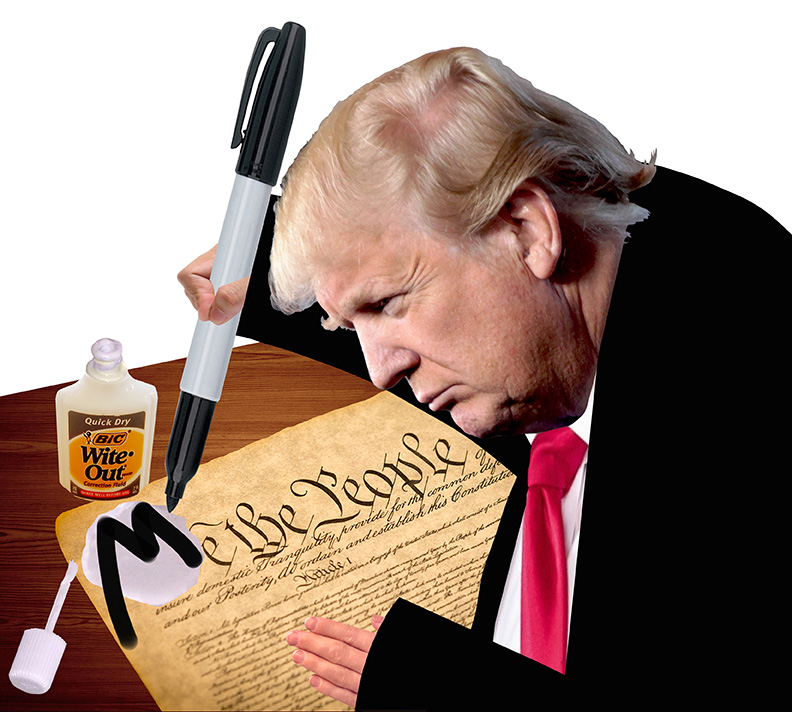 Trump Me Constitution