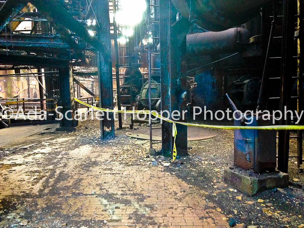 NOITALUMISASHWM-488.JPG