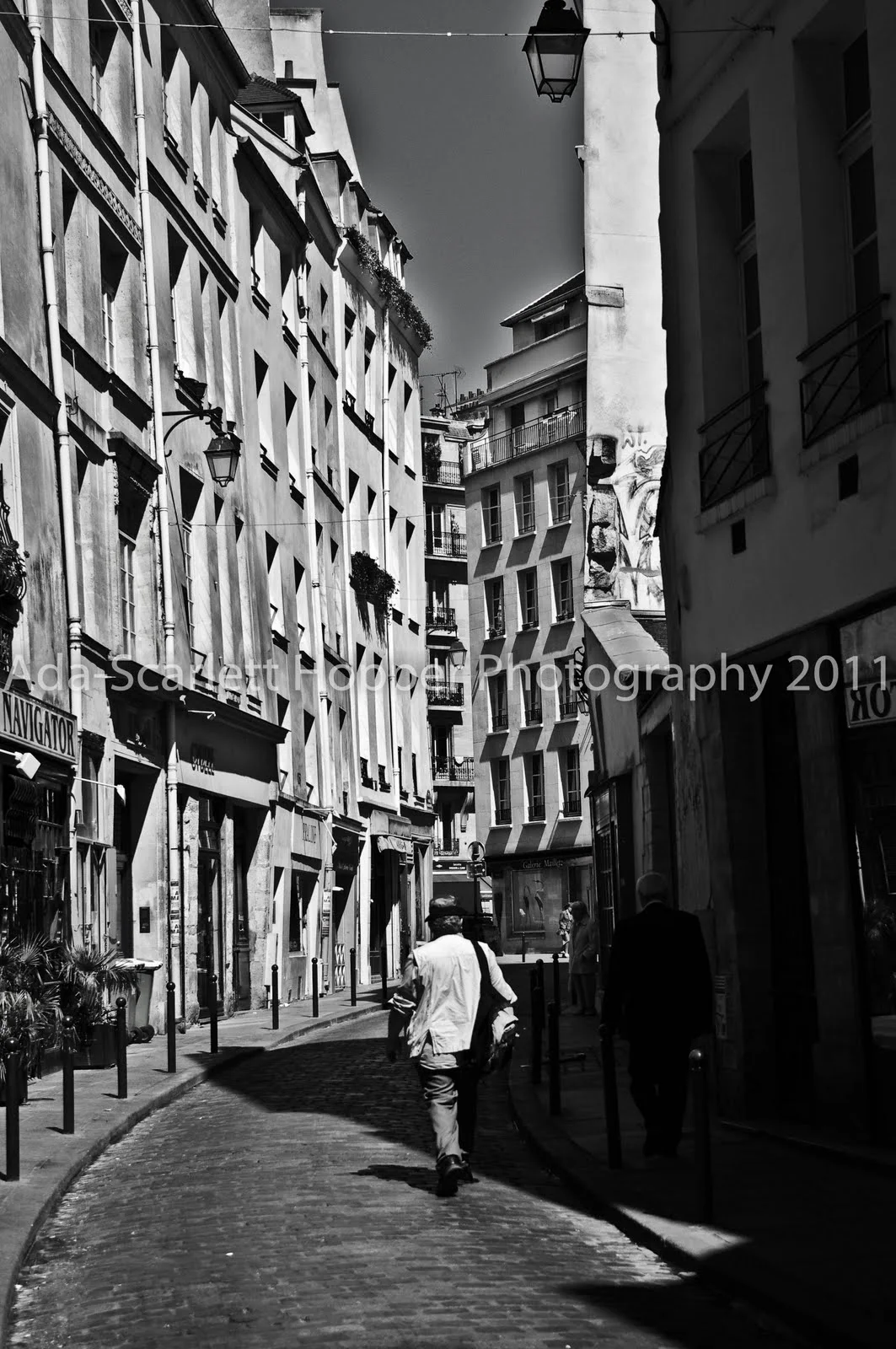 IMGP3267.JPG
