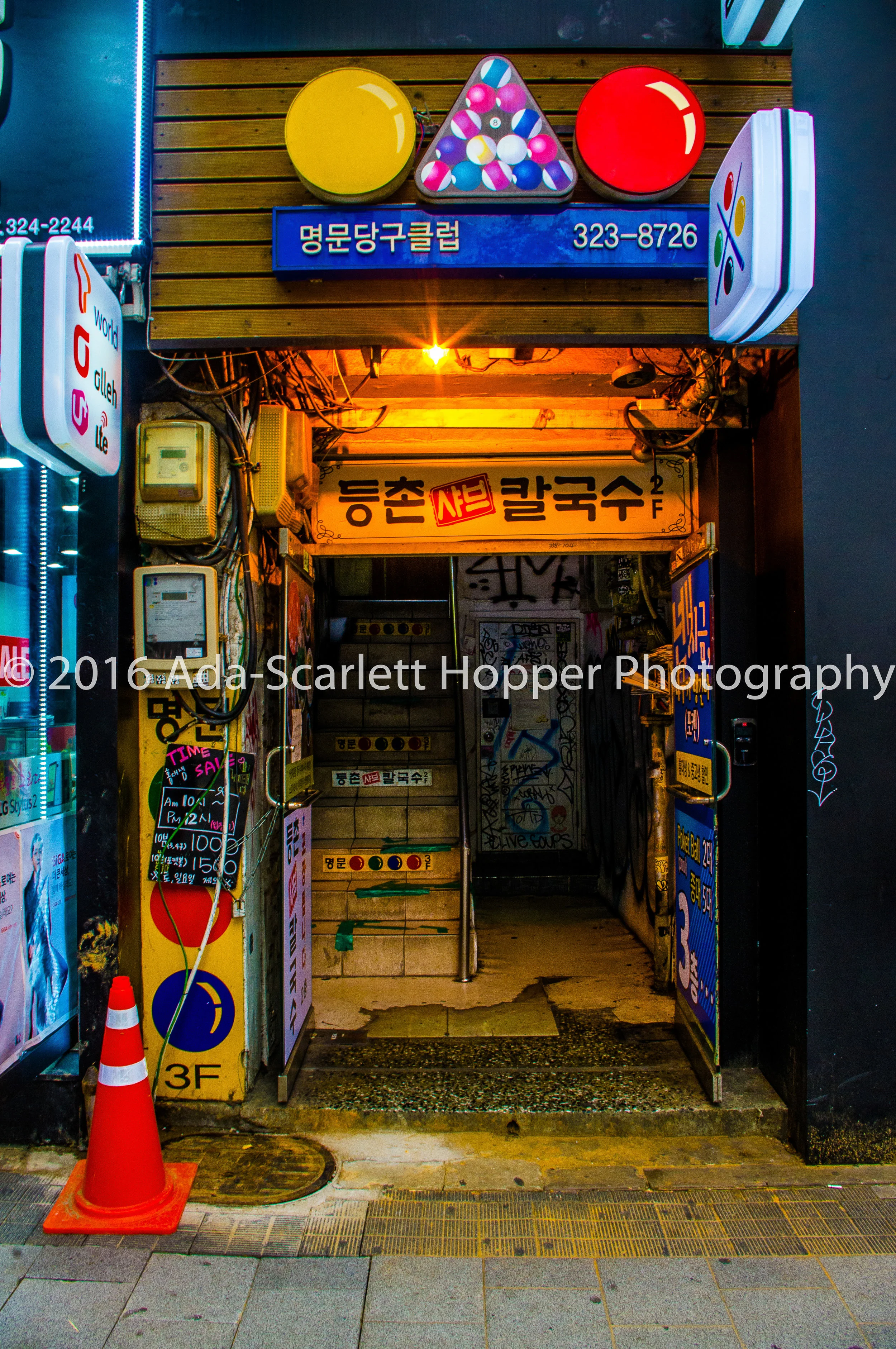 KOREAASHWM-100.JPG