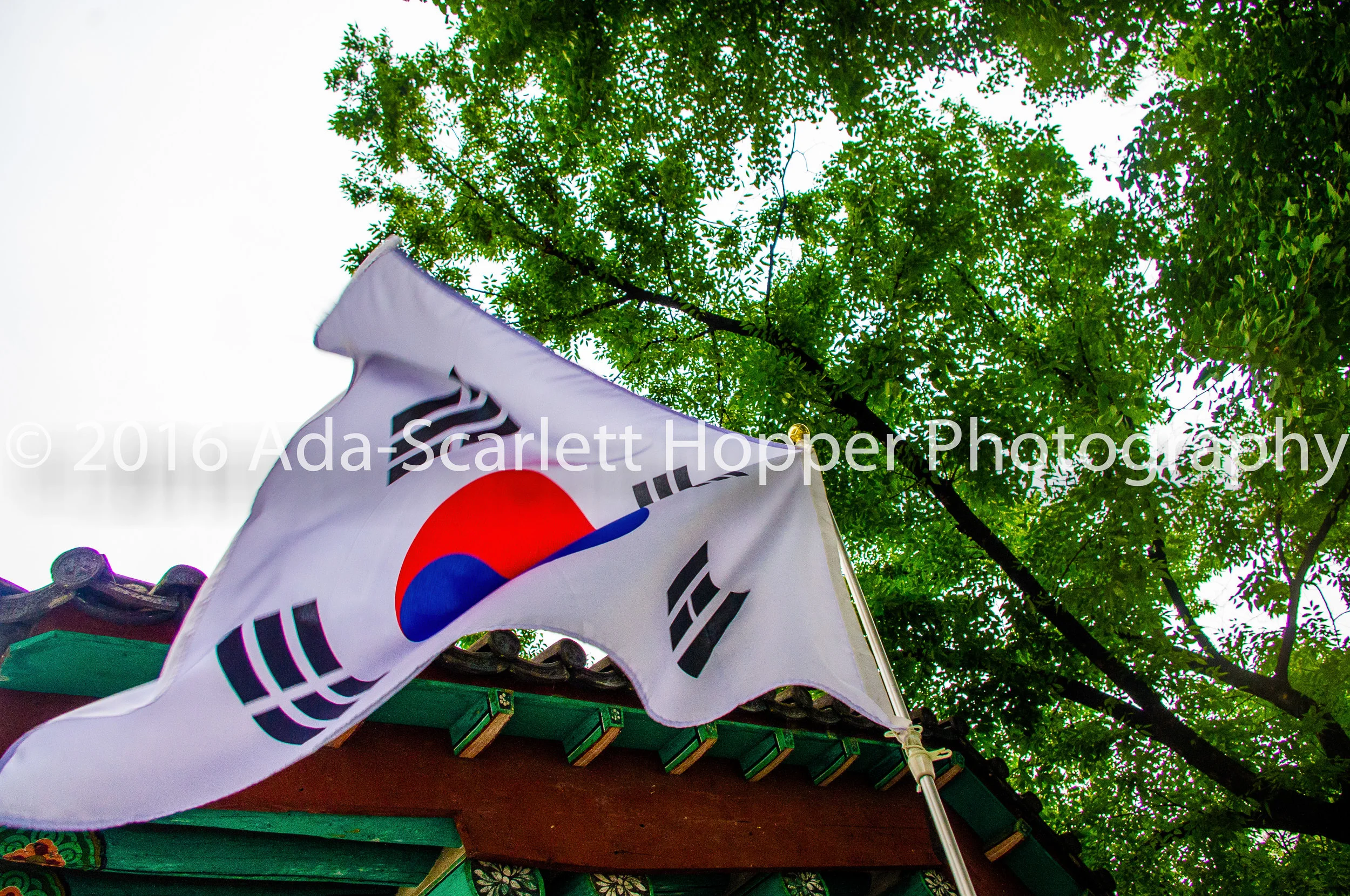 KOREAASHWM-160.JPG