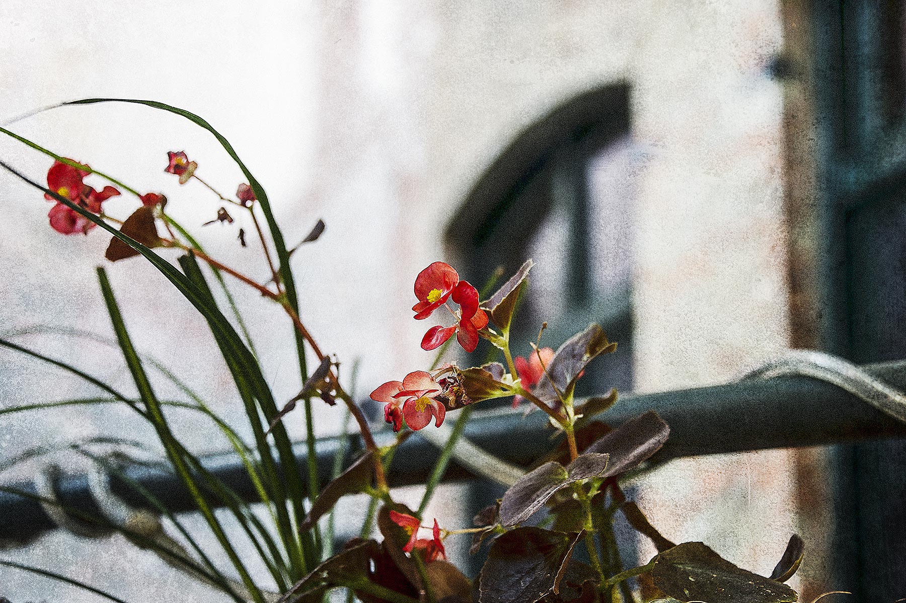 Courtyard #0438