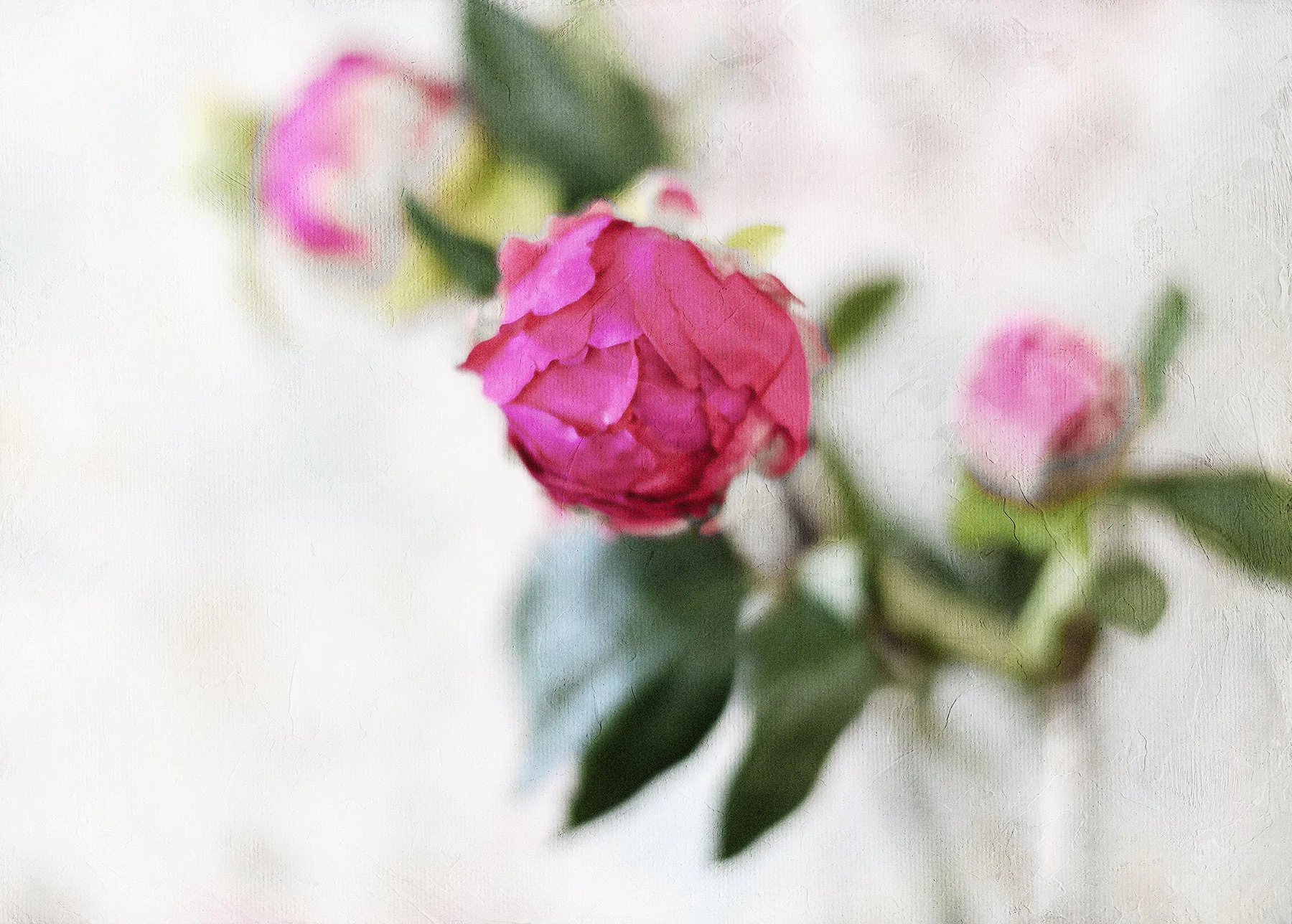 Botanical #D0595