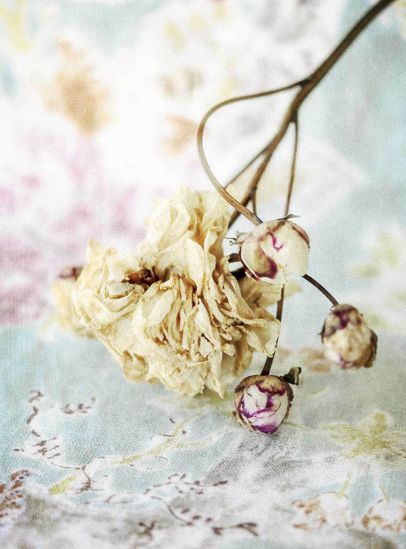 Botanical #D0722