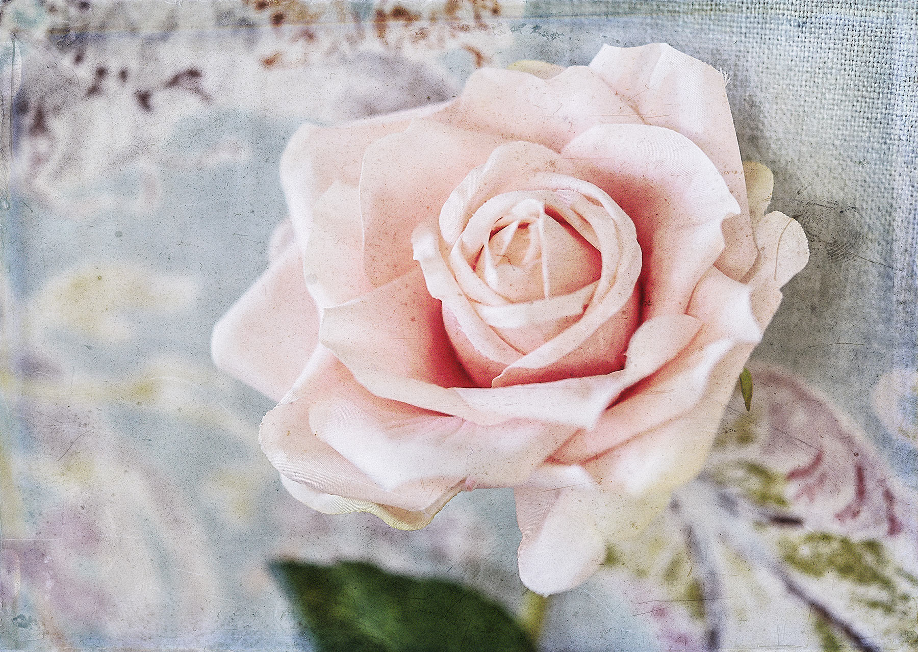 Botanical #D0627