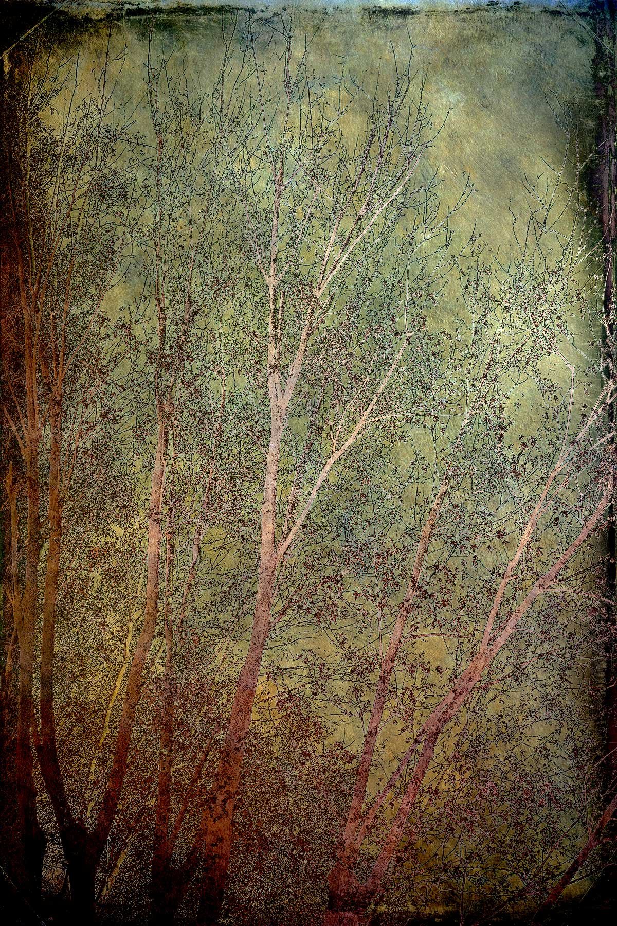 Sterlingwood tapestry