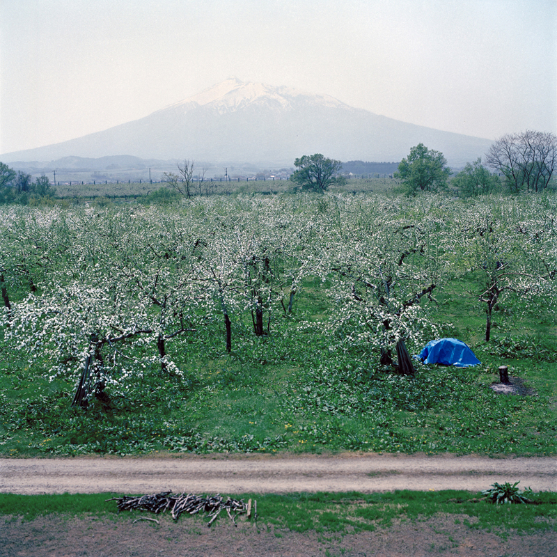 Orchard and Mt. Iwaki, Spring, Aomori Prefecture