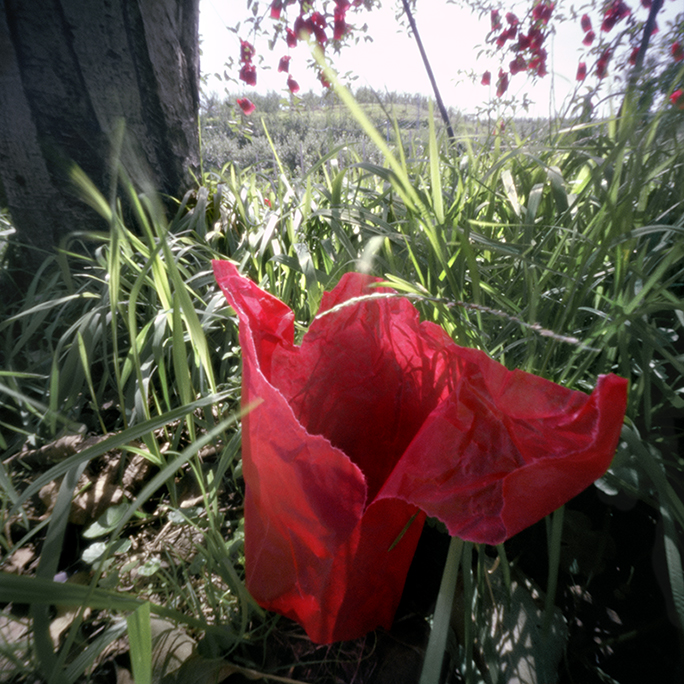 Red Inner Bag #1, Fall, Aomori Prefecture