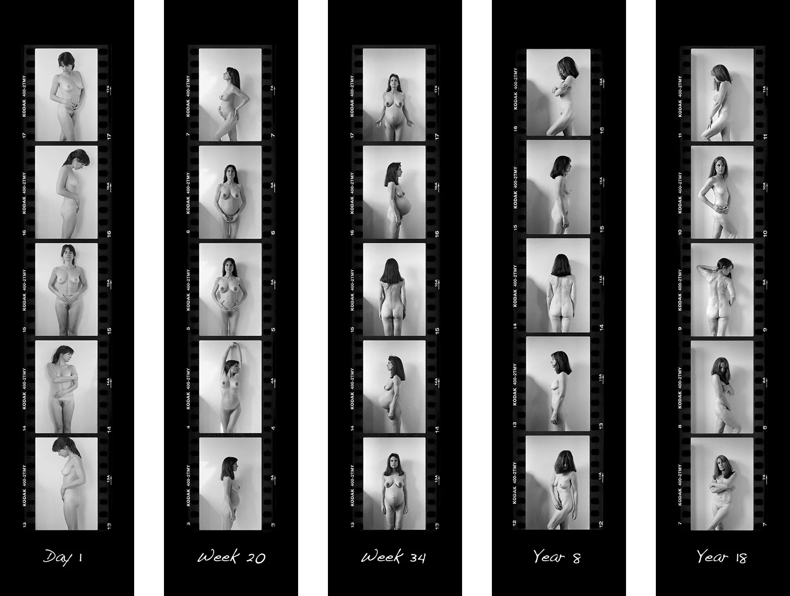Excerpts from The Long Arc