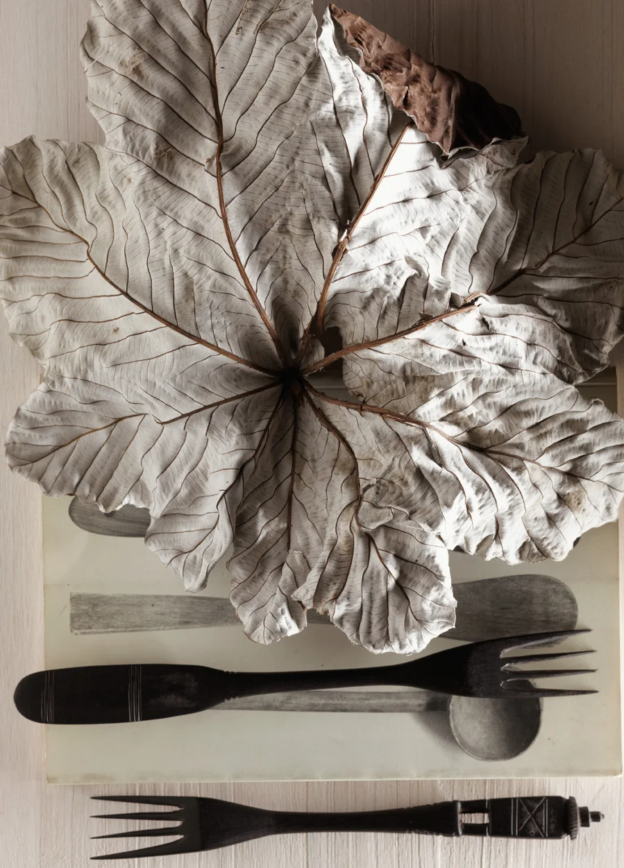 dgallagher_leaf_16253.jpg