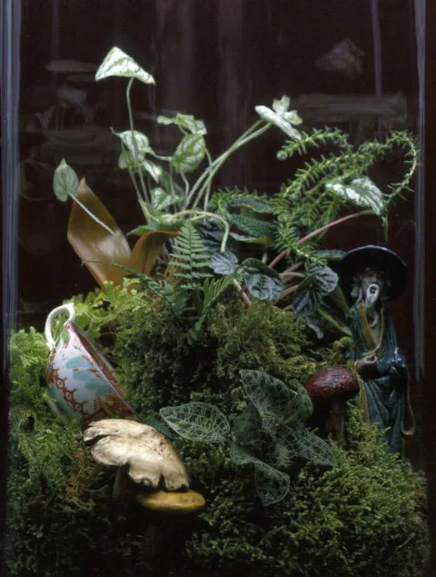 terrarium_5.jpg