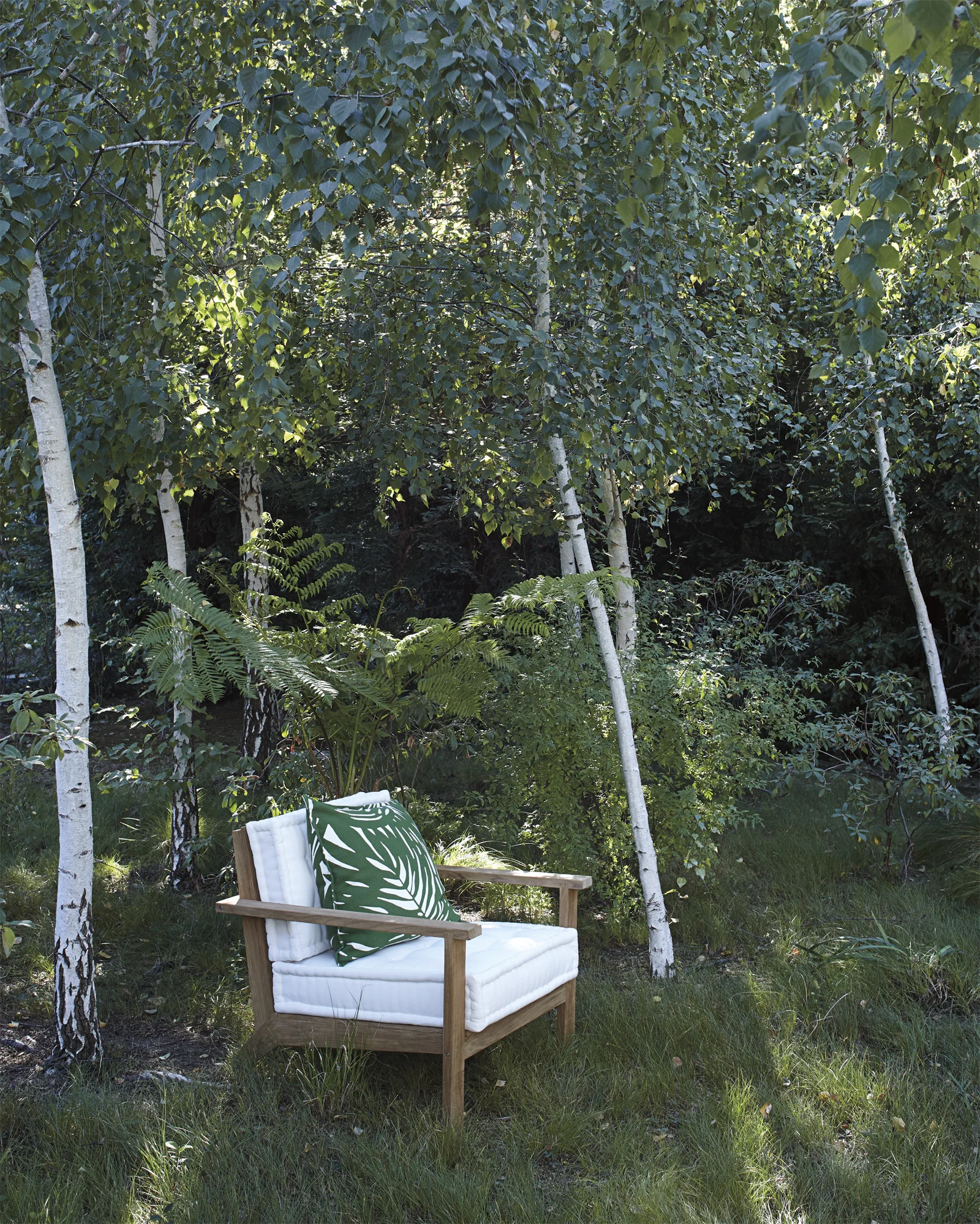 CAT_Chair_Cliffside_WW-0514-v2_main_Crop_BASE.jpg