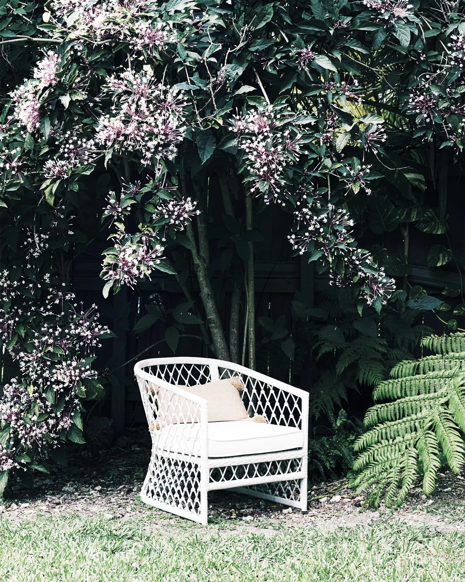 Chair_Capistrano-0724_Crop_BASE.jpg