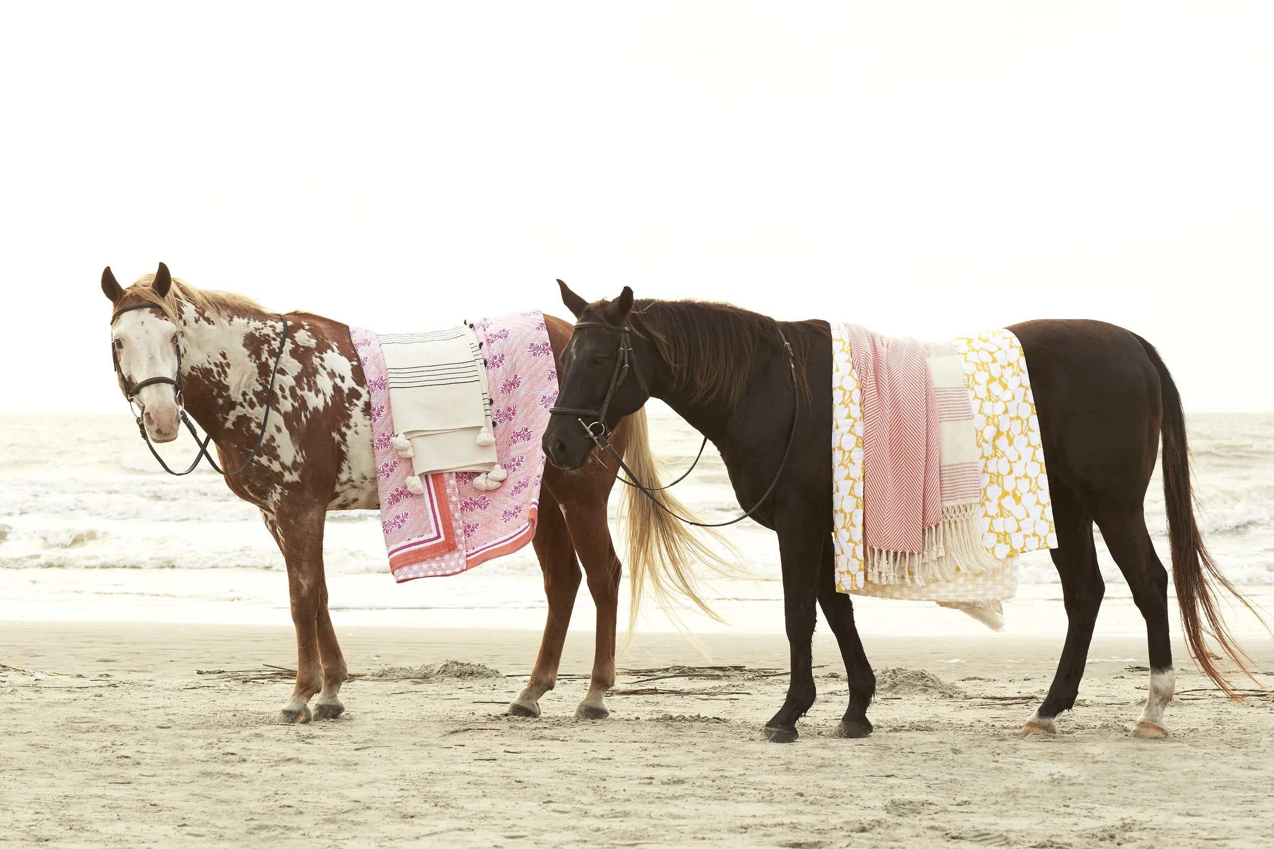 Quilts_Horse_Cover_Sp17_V1_0359.jpg