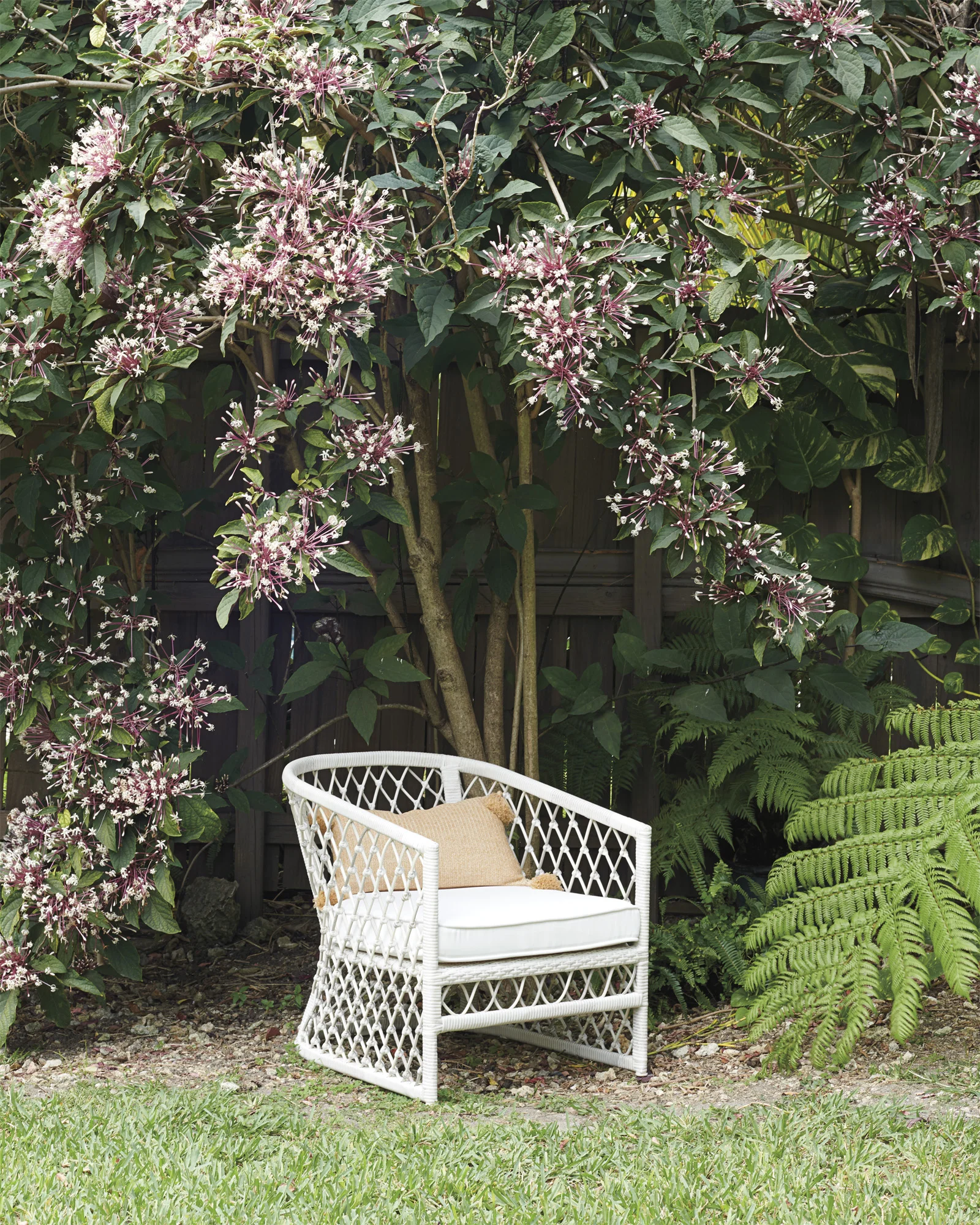 Chair_Capistrano-0724_Crop_BASE.jpg