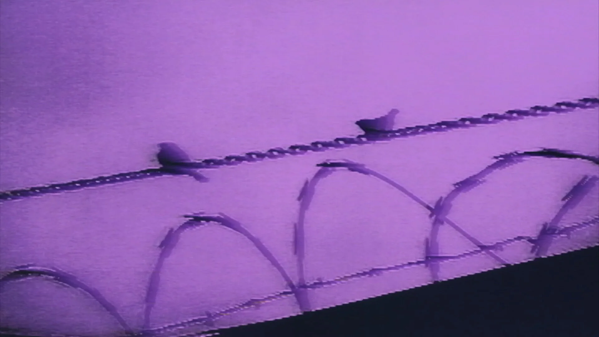 Still 09.jpg