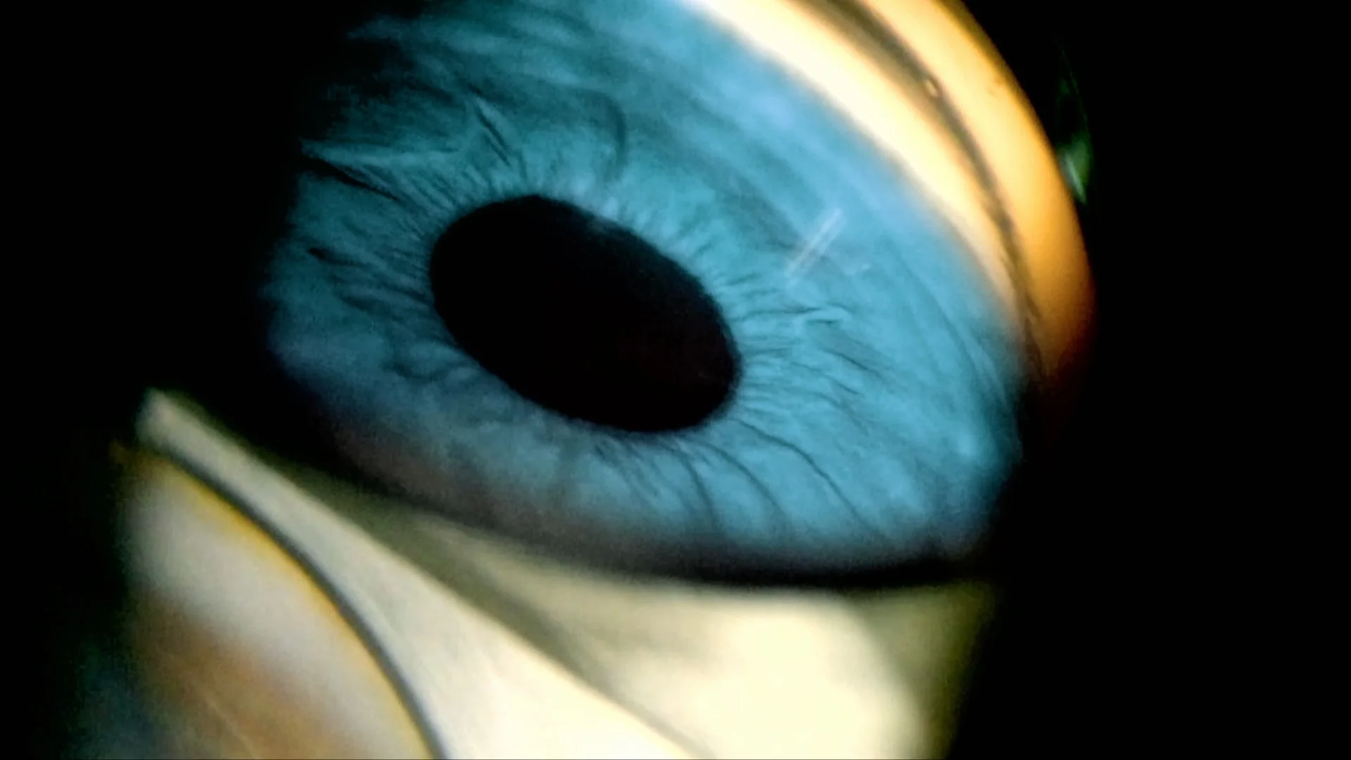 eyeball.jpg