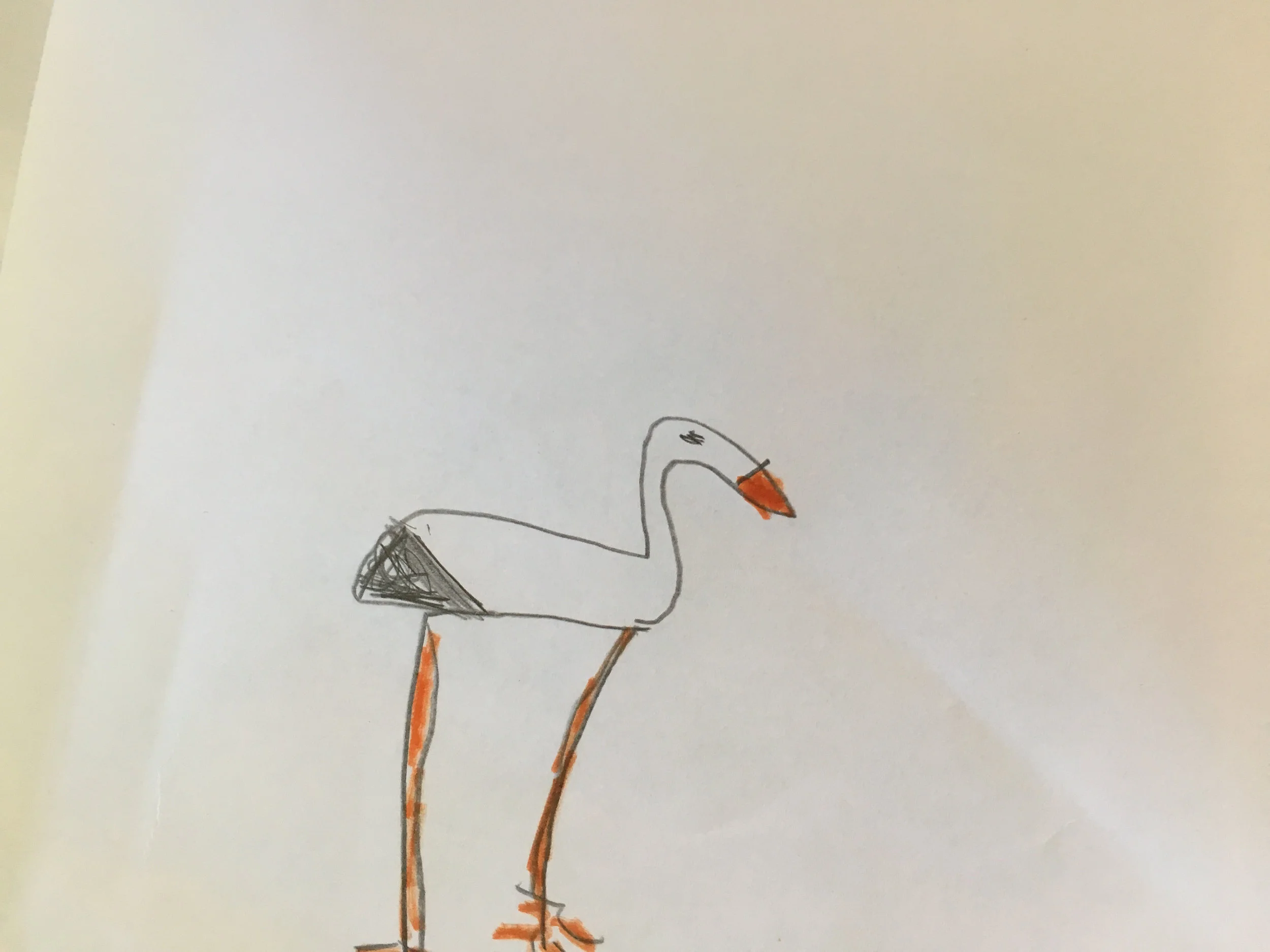 Minimalistinen lintu