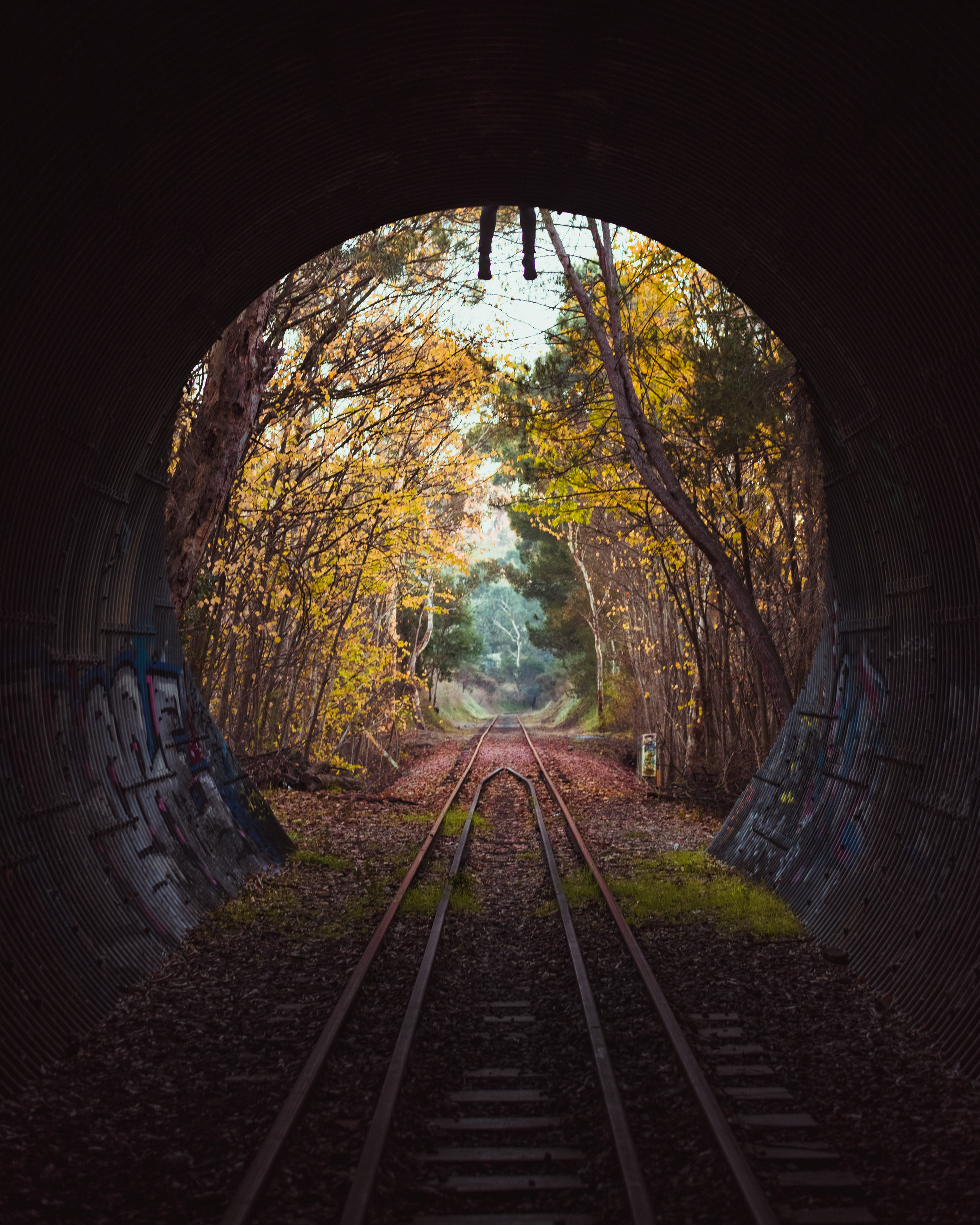 Mt Barker Tunnel Feet.jpg